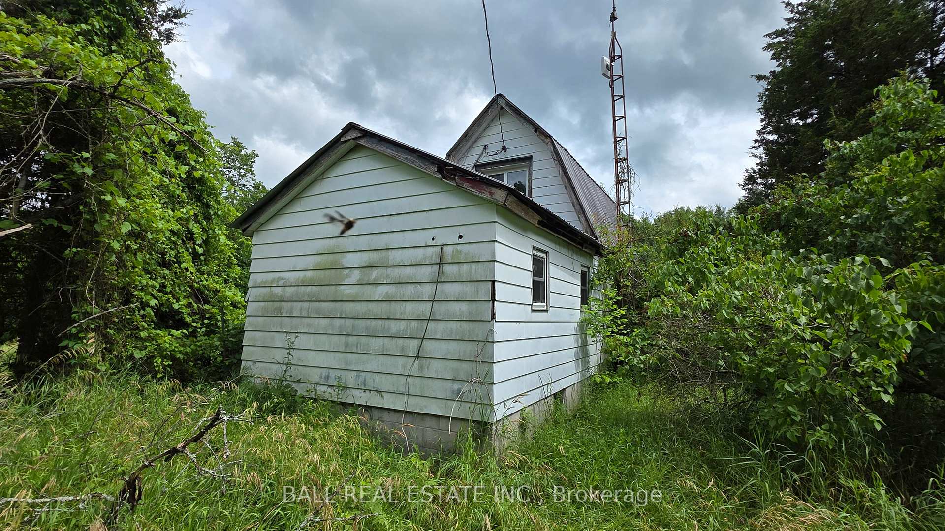 Photo 22 of 180 Brinson Road, Tweed, Hungerford (Twp) — HOMEH