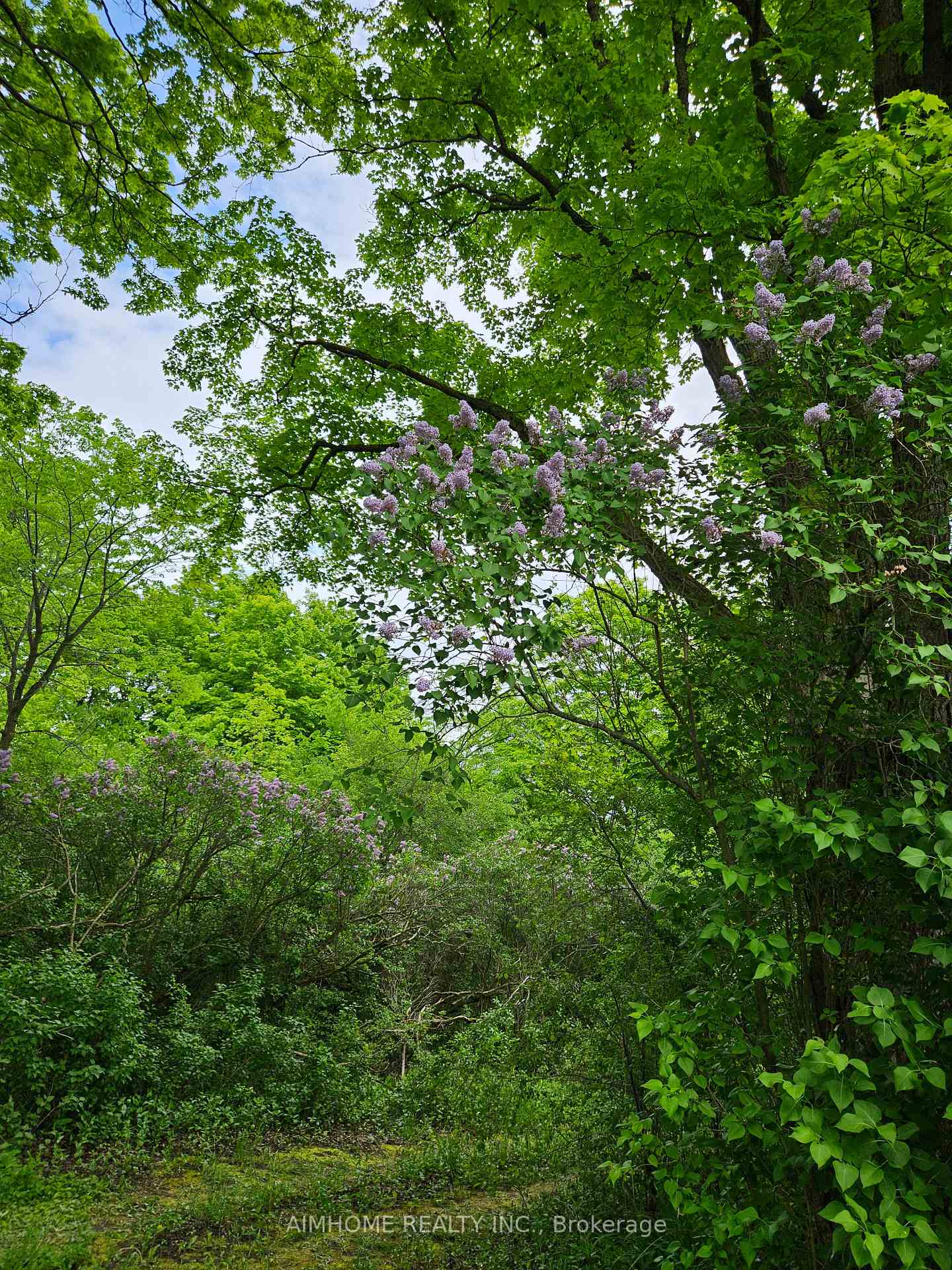 Photo 12 of 10400 and 10800 6th Concession, Uxbridge, Rural Uxbridge — HOMEH