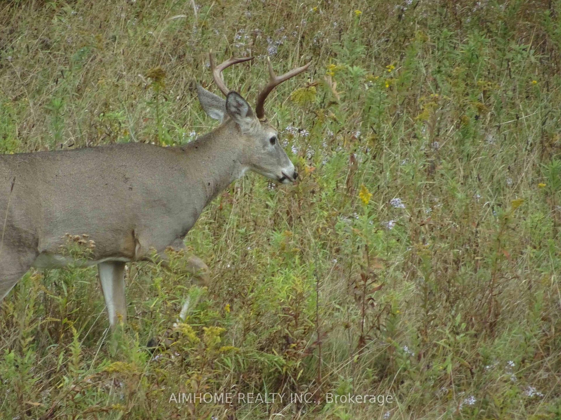 Photo 18 of 10400 and 10800 6th Concession, Uxbridge, Rural Uxbridge — HOMEH