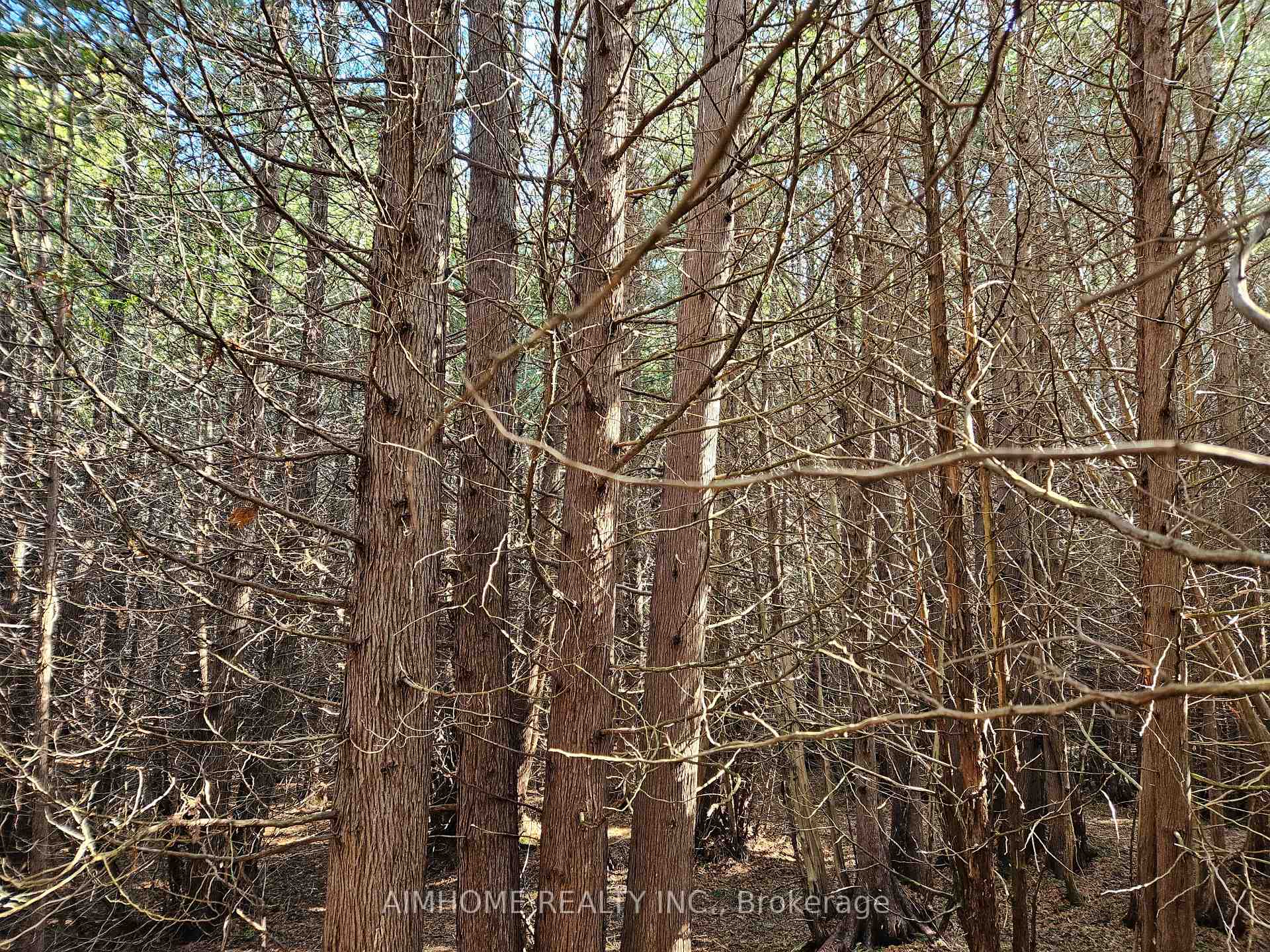 Photo 24 of 10400 and 10800 6th Concession, Uxbridge, Rural Uxbridge — HOMEH