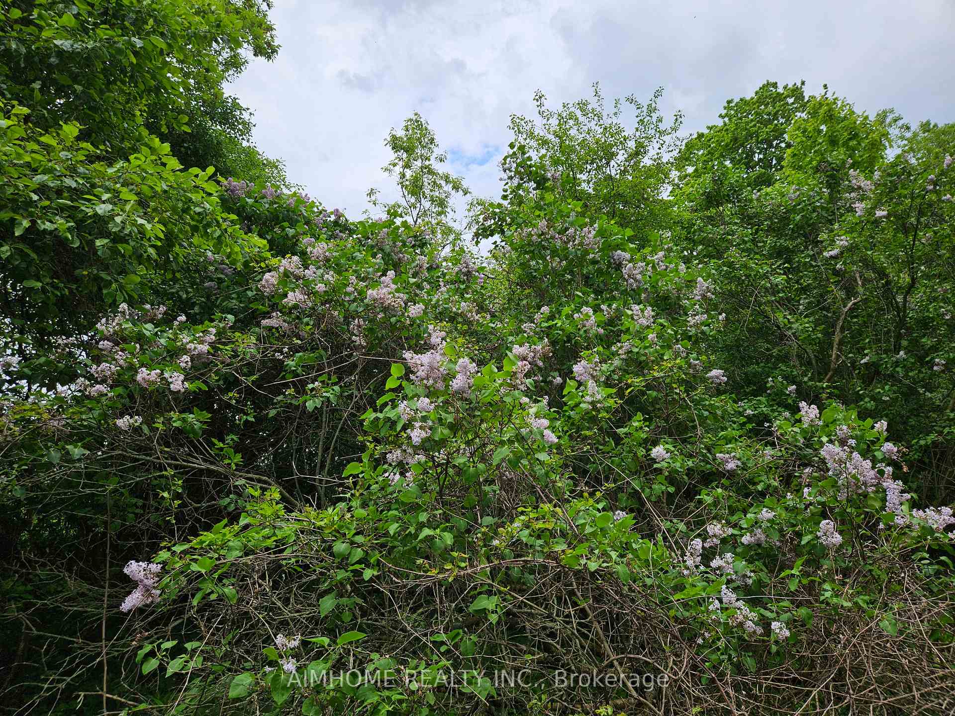 Photo 28 of 10400 and 10800 6th Concession, Uxbridge, Rural Uxbridge — HOMEH