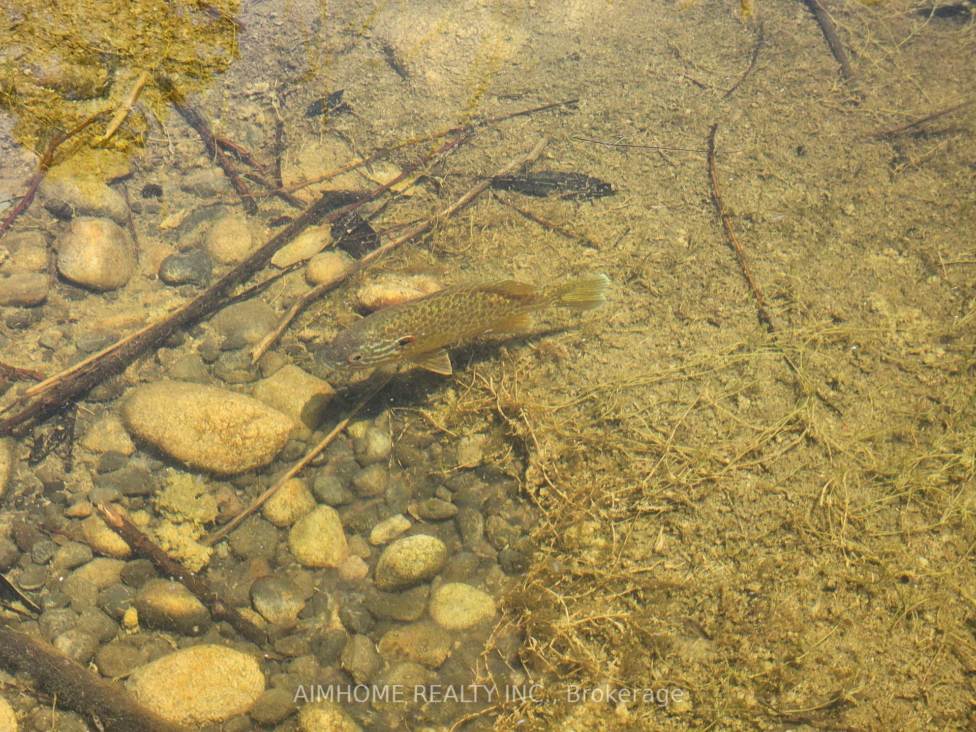 Photo 45 of 10400 and 10800 6th Concession, Uxbridge, Rural Uxbridge — HOMEH