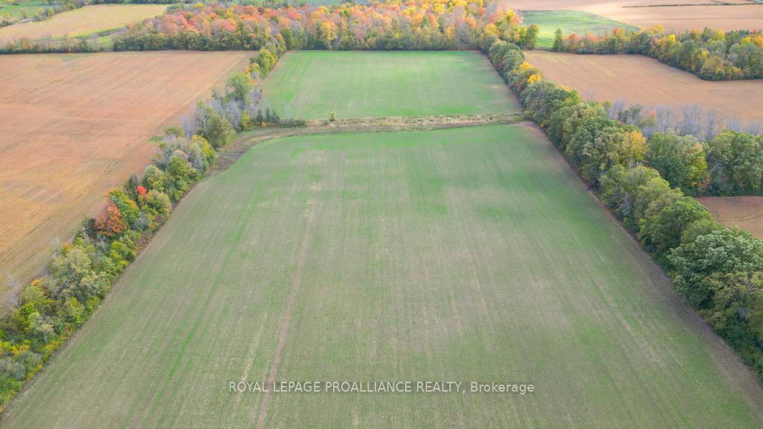 Photo 6 of Thrasher Road, Belleville, Thurlow Ward — HOMEH