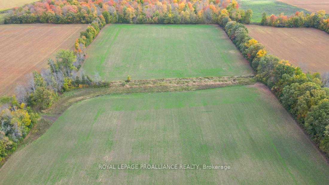 Photo 7 of Thrasher Road, Belleville, Thurlow Ward — HOMEH