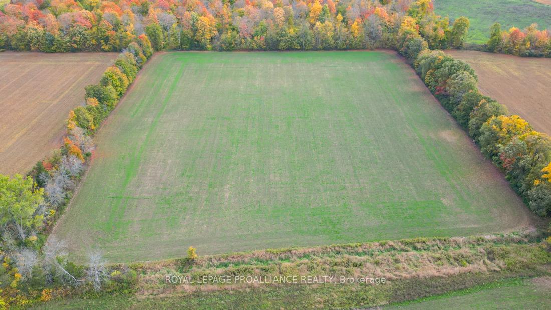 Photo 10 of Thrasher Road, Belleville, Thurlow Ward — HOMEH