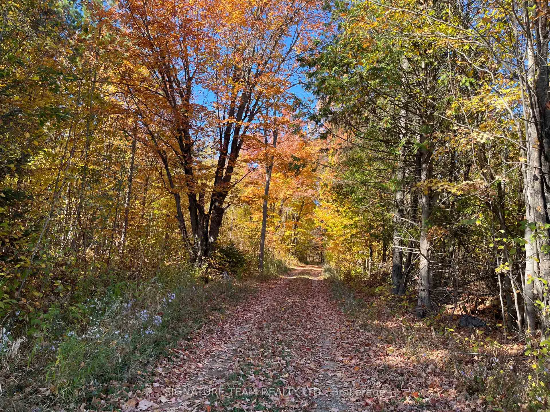 Photo 3 of Minnie Road, Bonnechere Valley, Eganville/Bonnechere Twp — HOMEH