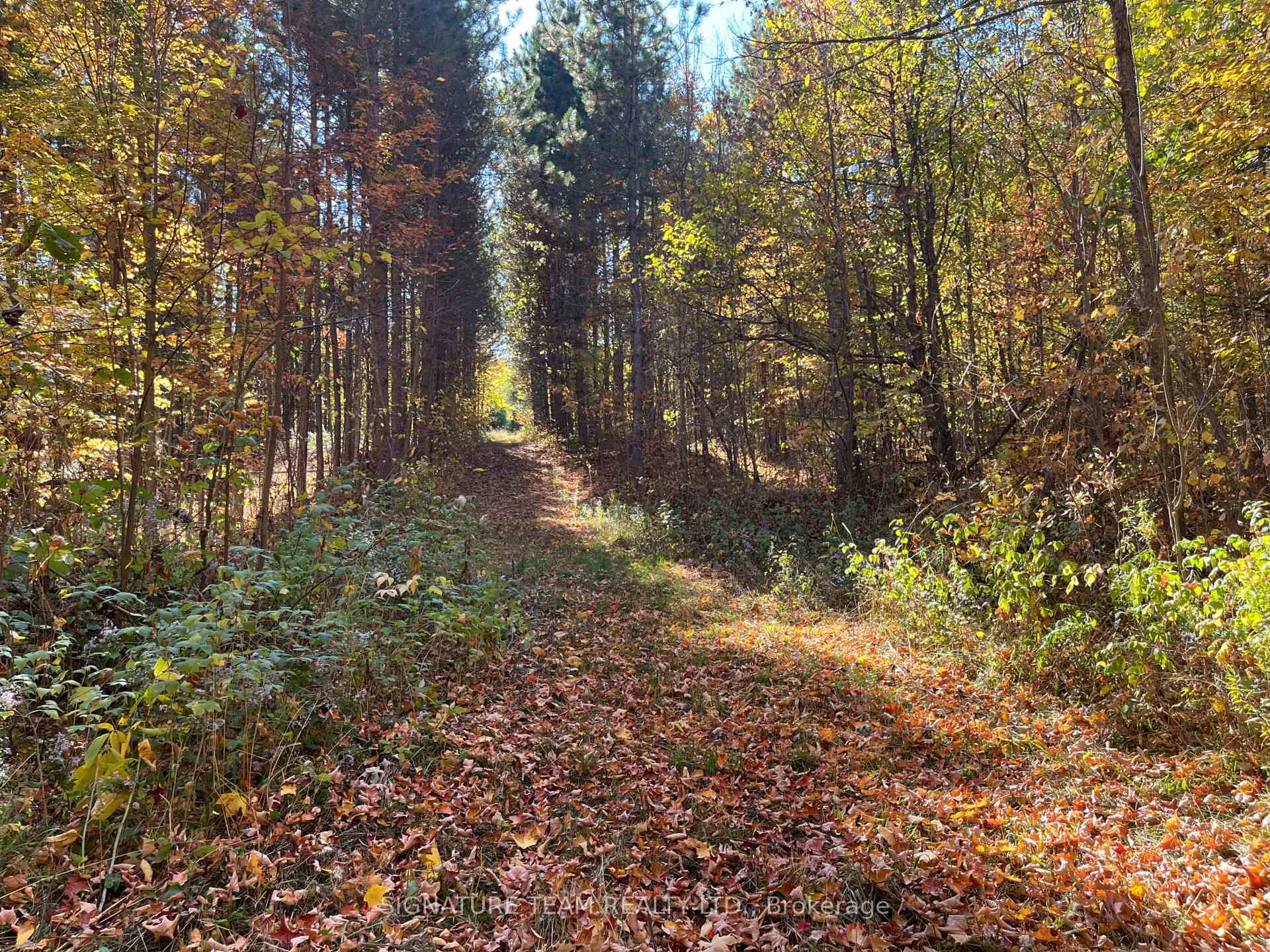 Photo 4 of Minnie Road, Bonnechere Valley, Eganville/Bonnechere Twp — HOMEH