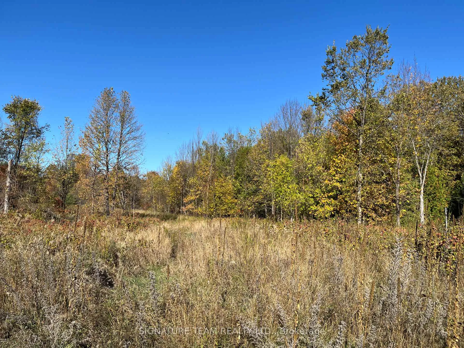 Photo 5 of Minnie Road, Bonnechere Valley, Eganville/Bonnechere Twp — HOMEH