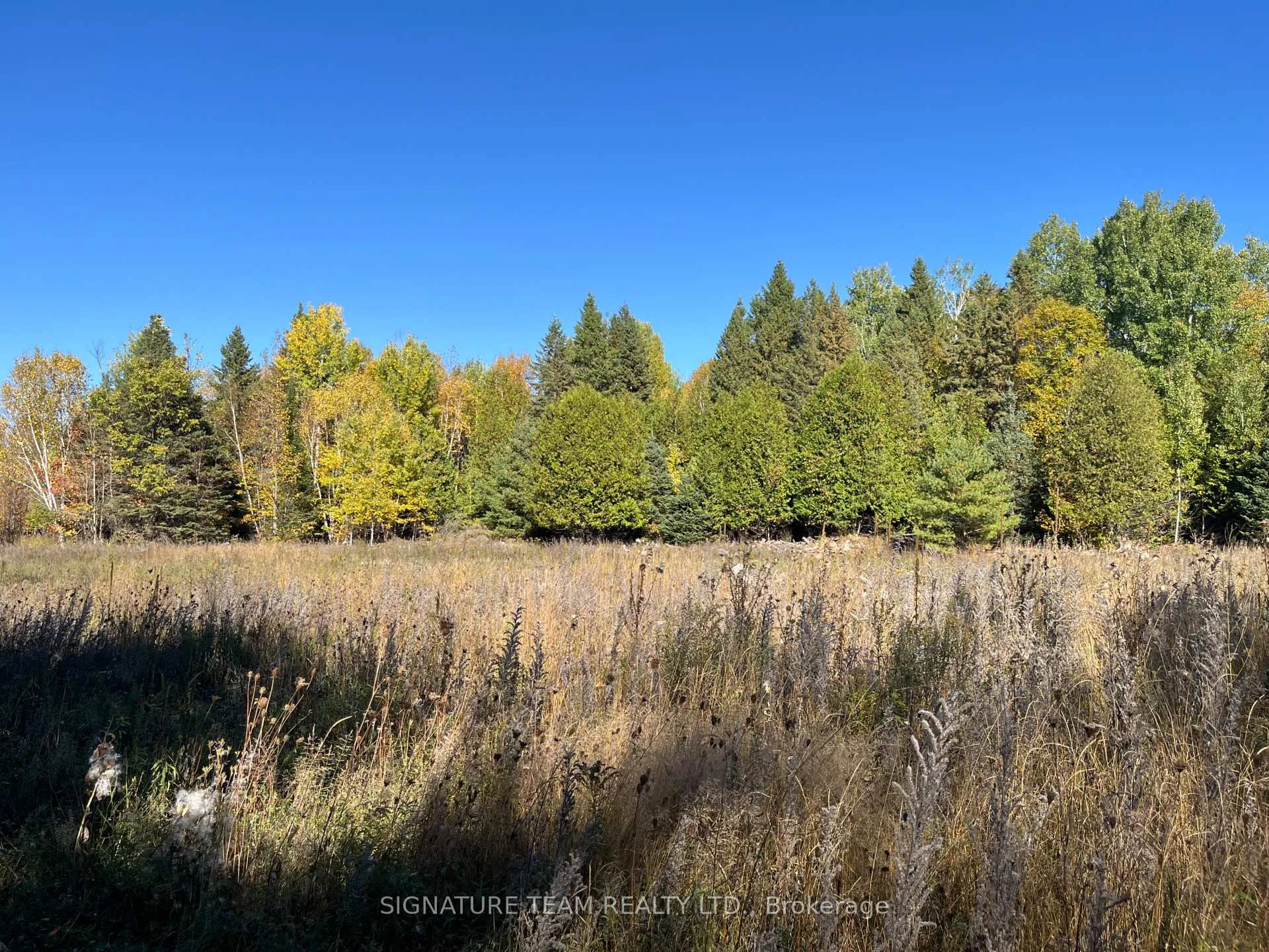 Photo 6 of Minnie Road, Bonnechere Valley, Eganville/Bonnechere Twp — HOMEH