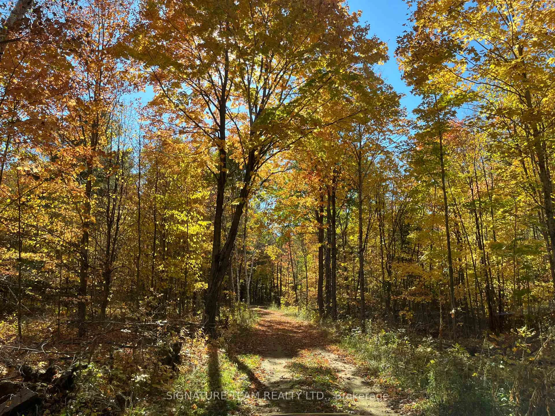 Photo 9 of Minnie Road, Bonnechere Valley, Eganville/Bonnechere Twp — HOMEH