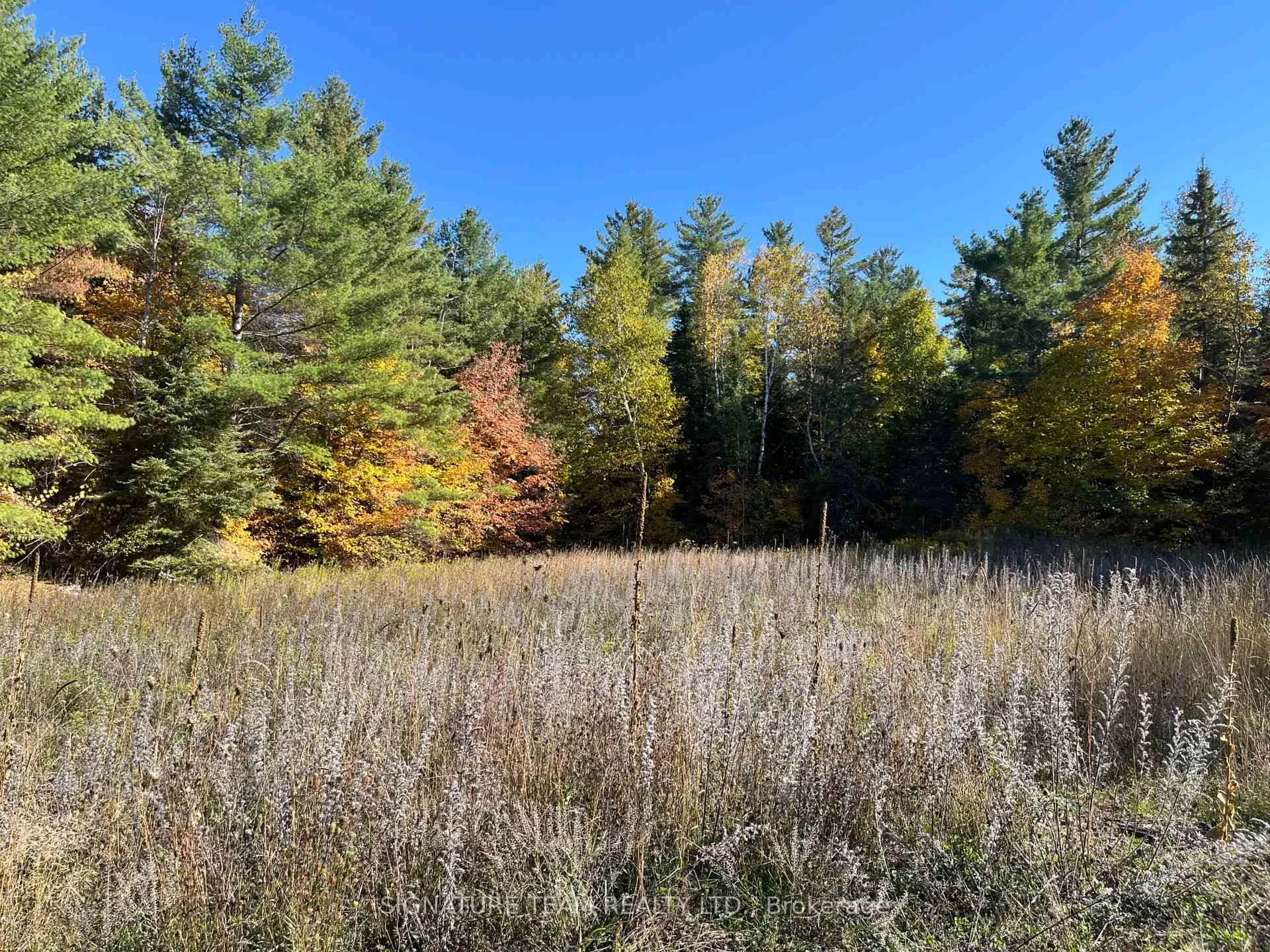 Photo 10 of Minnie Road, Bonnechere Valley, Eganville/Bonnechere Twp — HOMEH