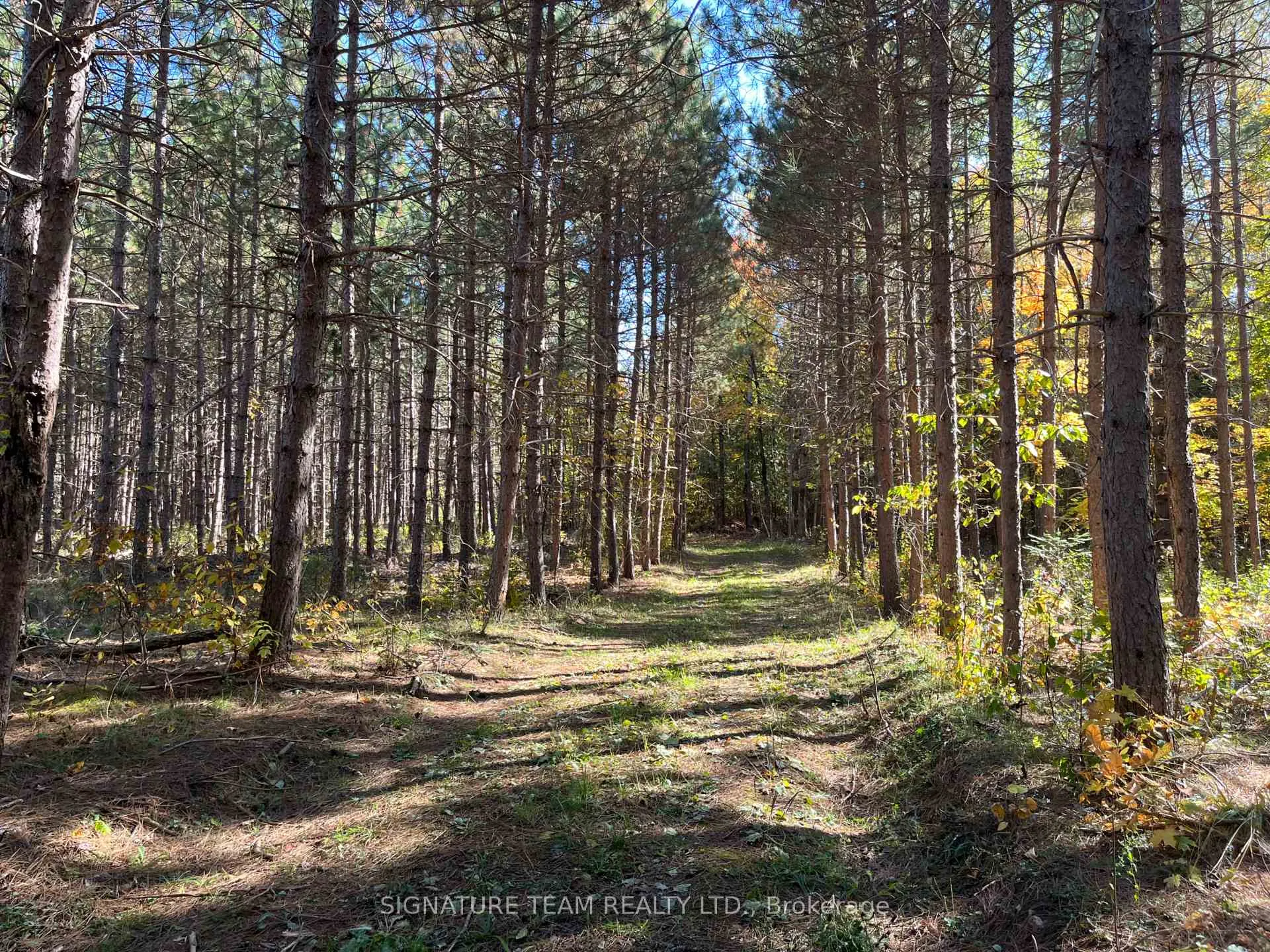 Photo 11 of Minnie Road, Bonnechere Valley, Eganville/Bonnechere Twp — HOMEH