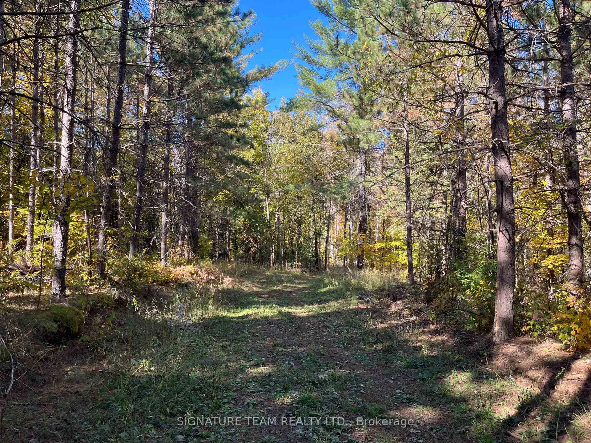 Photo 12 of Minnie Road, Bonnechere Valley, Eganville/Bonnechere Twp — HOMEH