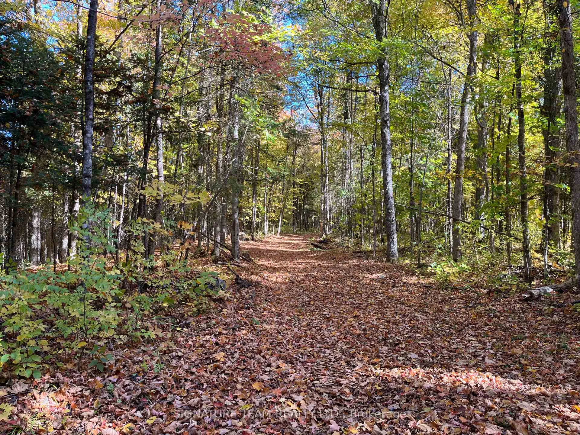 Photo 13 of Minnie Road, Bonnechere Valley, Eganville/Bonnechere Twp — HOMEH