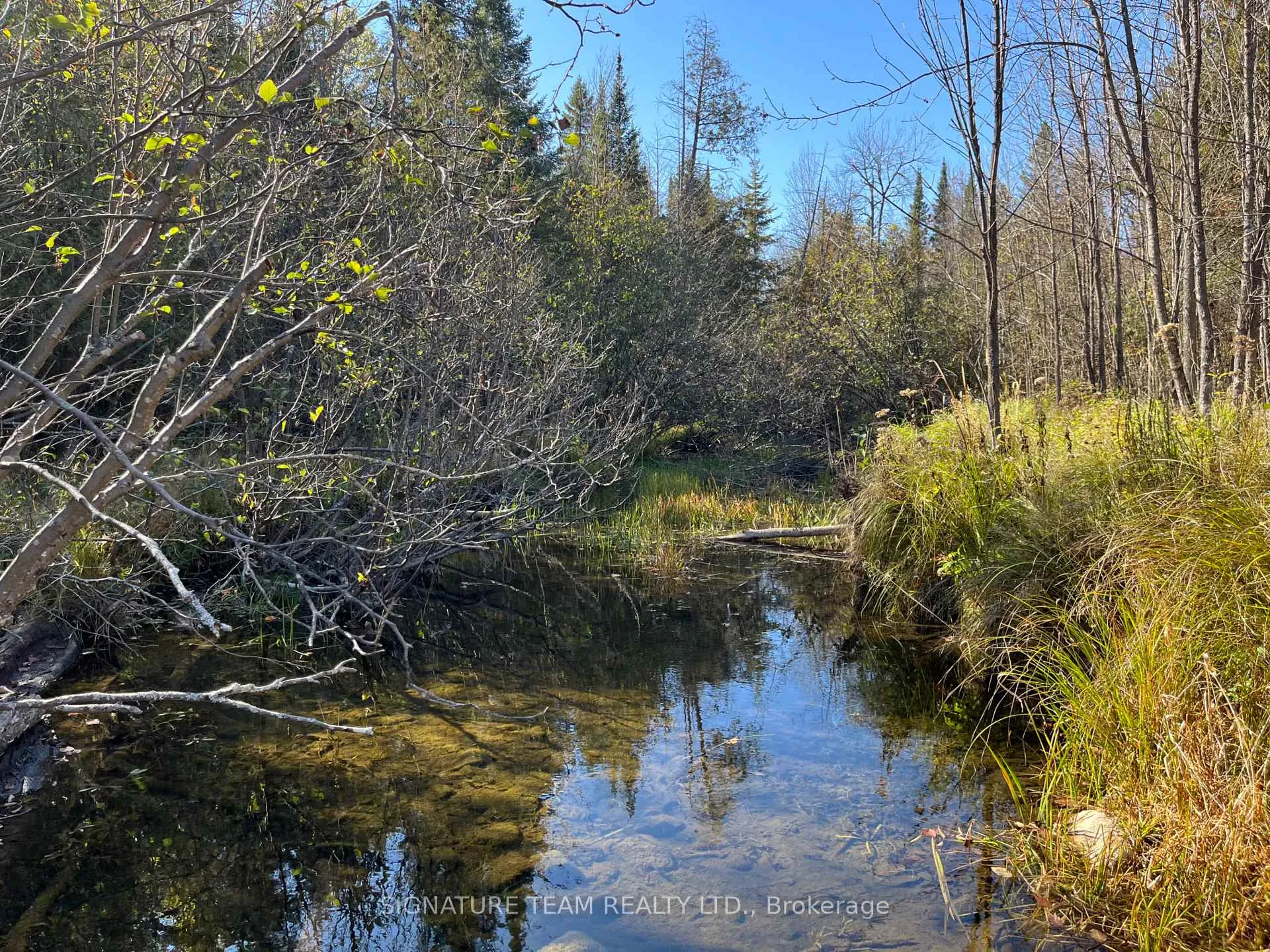 Photo 14 of Minnie Road, Bonnechere Valley, Eganville/Bonnechere Twp — HOMEH