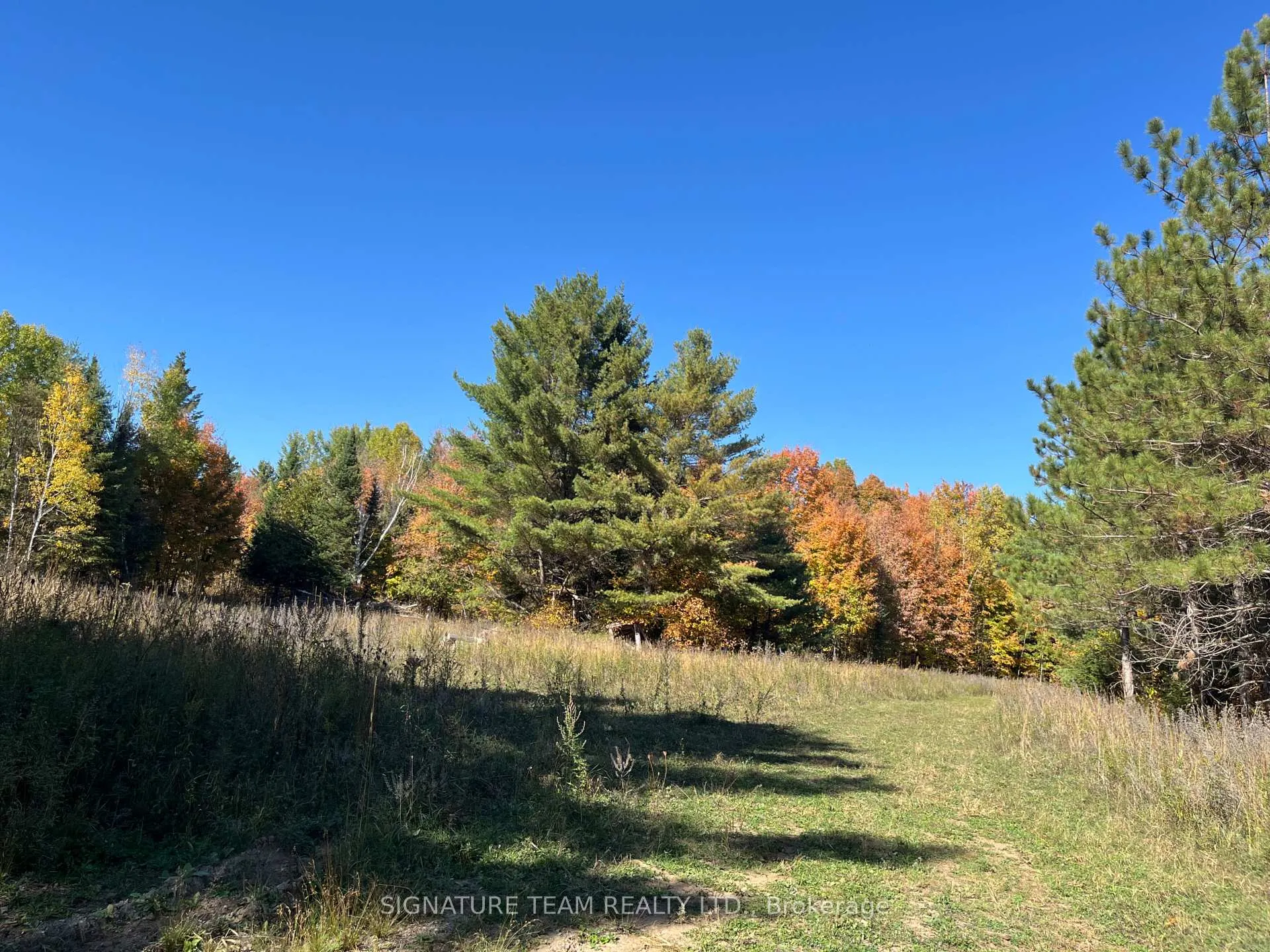 Photo 15 of Minnie Road, Bonnechere Valley, Eganville/Bonnechere Twp — HOMEH