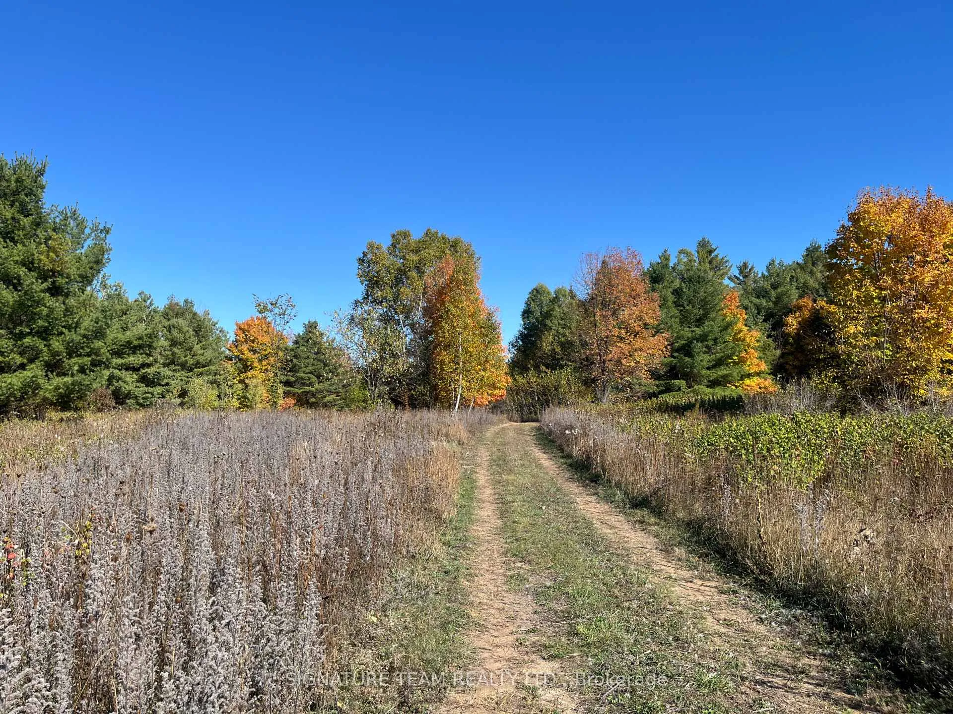 Photo 16 of Minnie Road, Bonnechere Valley, Eganville/Bonnechere Twp — HOMEH