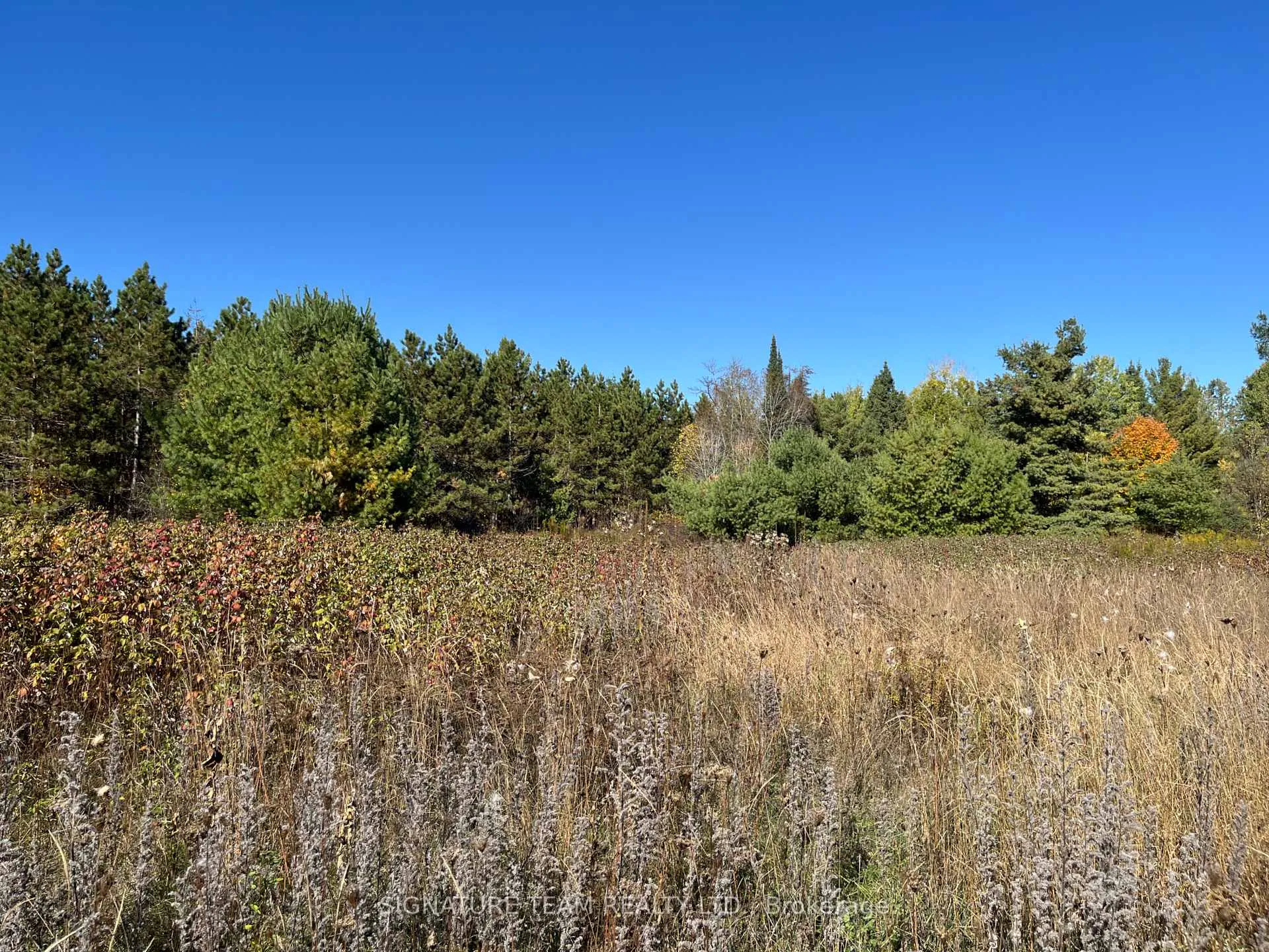 Photo 17 of Minnie Road, Bonnechere Valley, Eganville/Bonnechere Twp — HOMEH