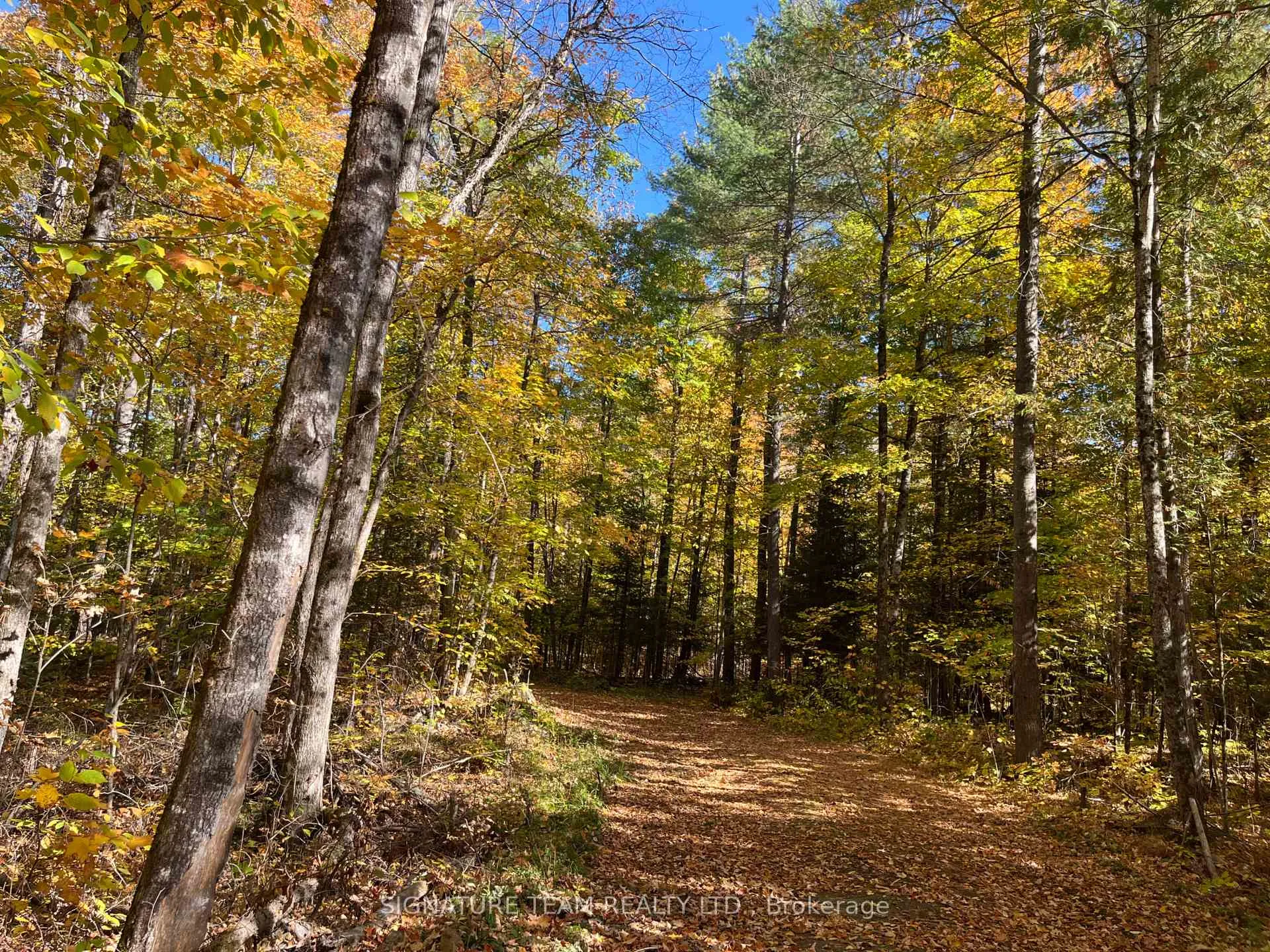 Photo 18 of Minnie Road, Bonnechere Valley, Eganville/Bonnechere Twp — HOMEH