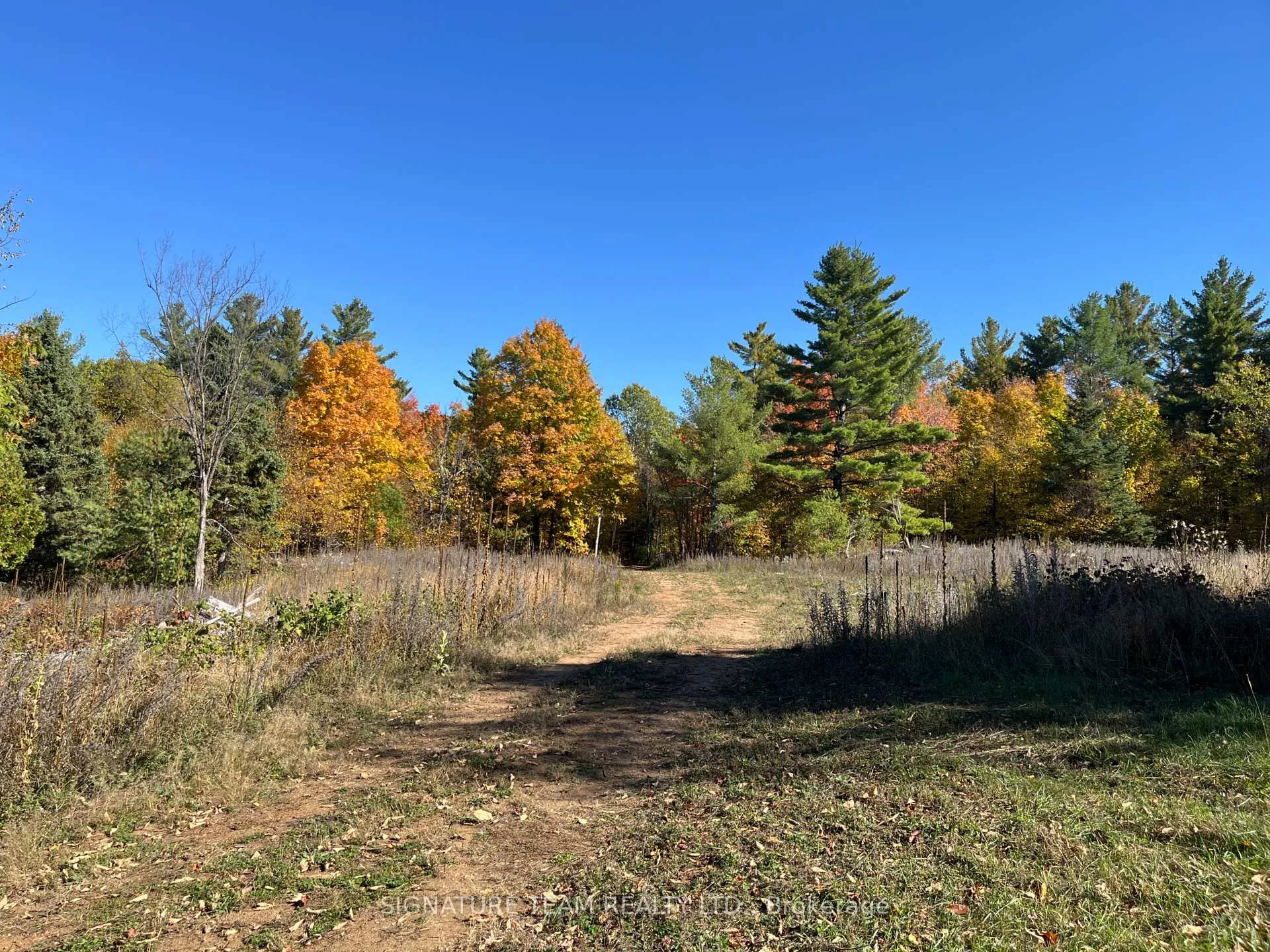 Photo 20 of Minnie Road, Bonnechere Valley, Eganville/Bonnechere Twp — HOMEH