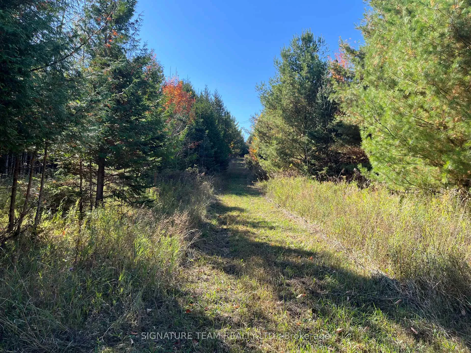 Photo 24 of Minnie Road, Bonnechere Valley, Eganville/Bonnechere Twp — HOMEH