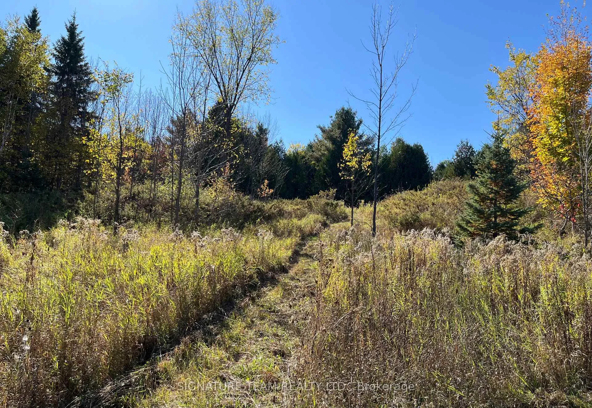 Photo 28 of Minnie Road, Bonnechere Valley, Eganville/Bonnechere Twp — HOMEH