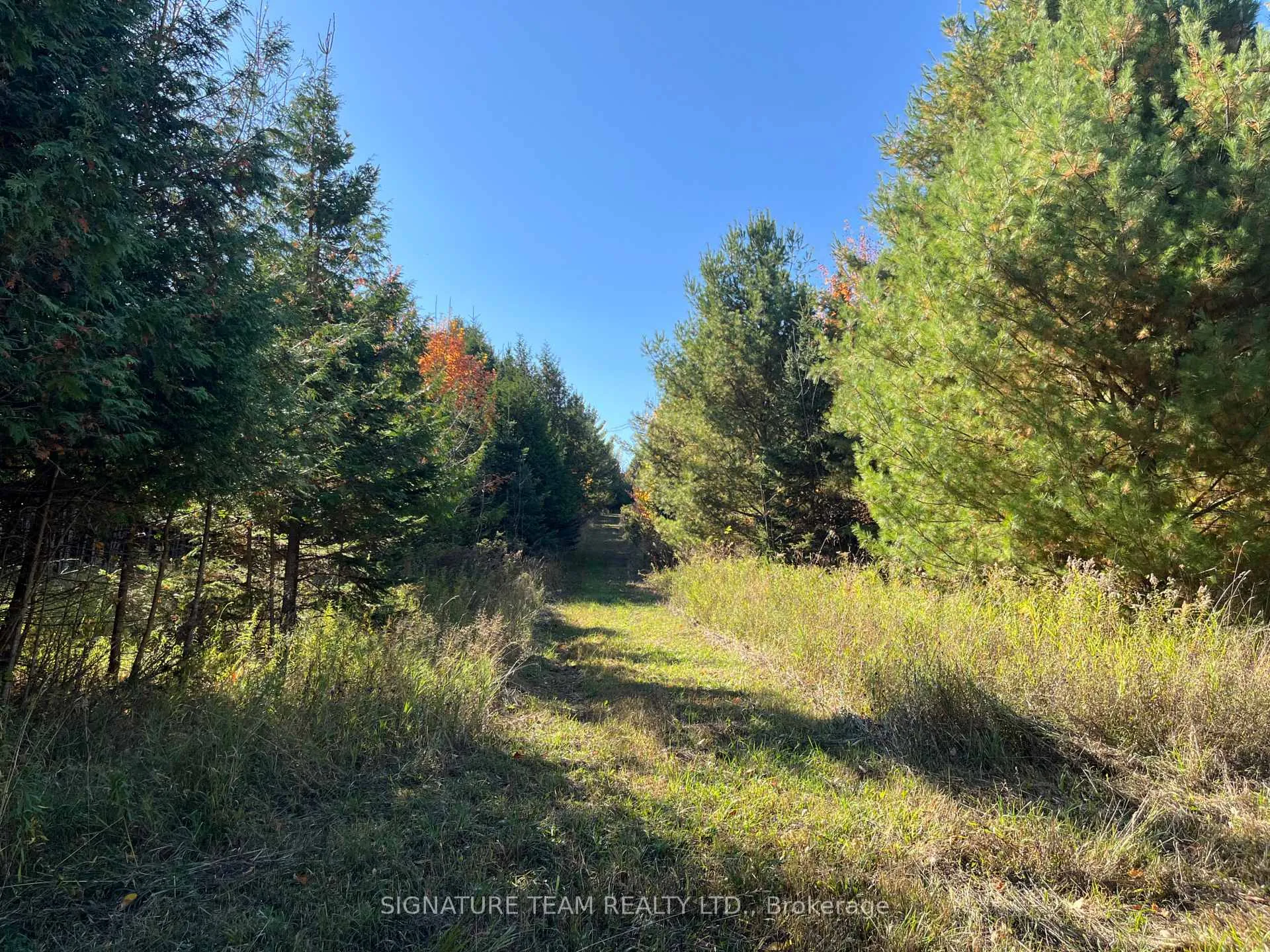 Photo 33 of Minnie Road, Bonnechere Valley, Eganville/Bonnechere Twp — HOMEH