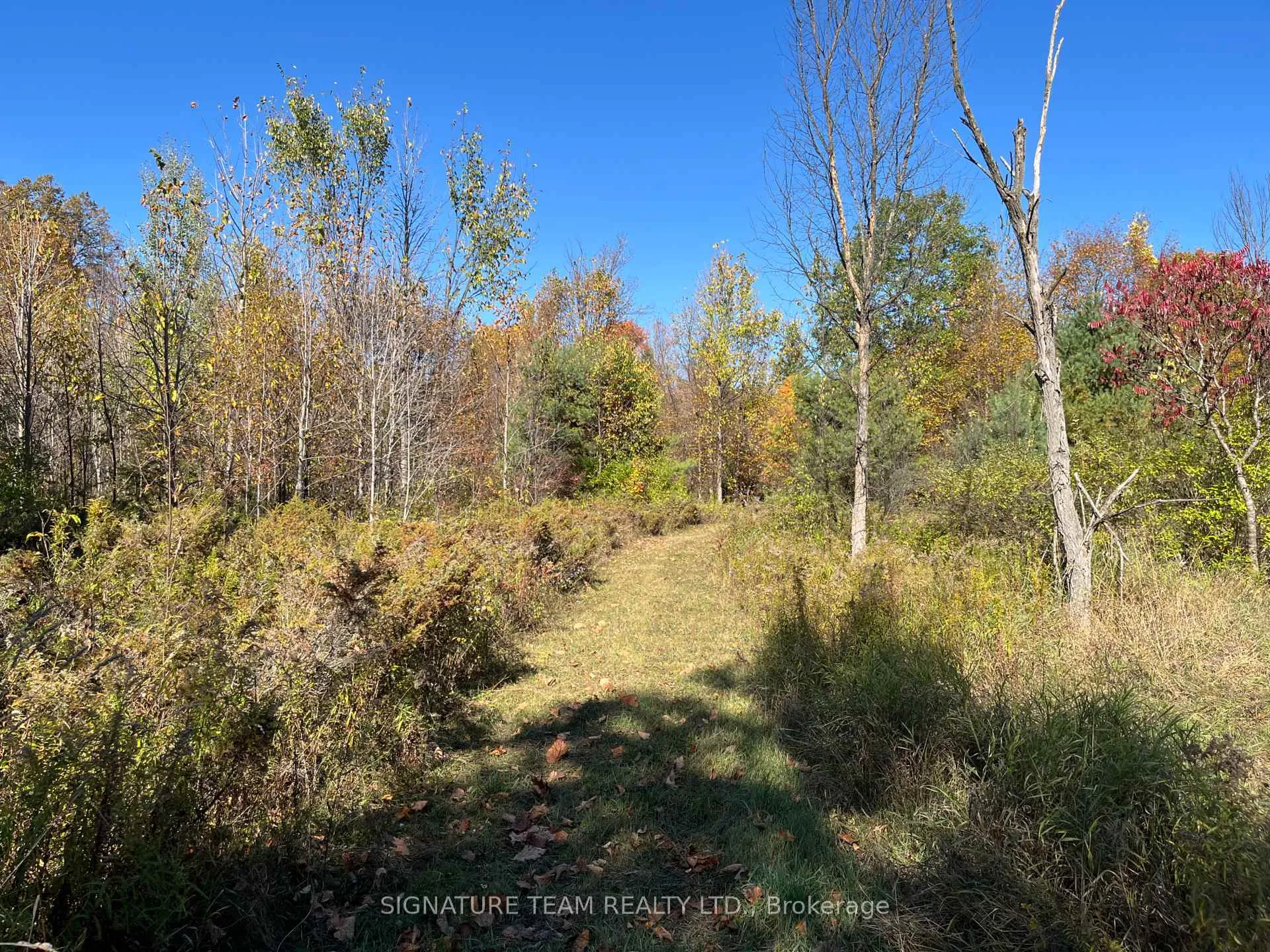 Photo 34 of Minnie Road, Bonnechere Valley, Eganville/Bonnechere Twp — HOMEH