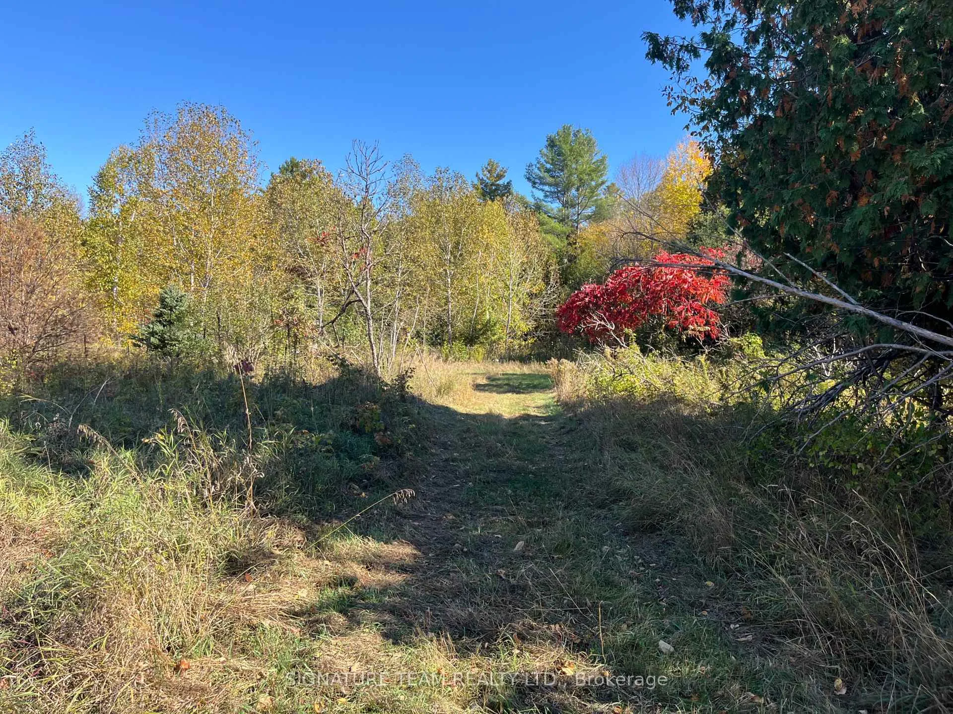 Photo 35 of Minnie Road, Bonnechere Valley, Eganville/Bonnechere Twp — HOMEH