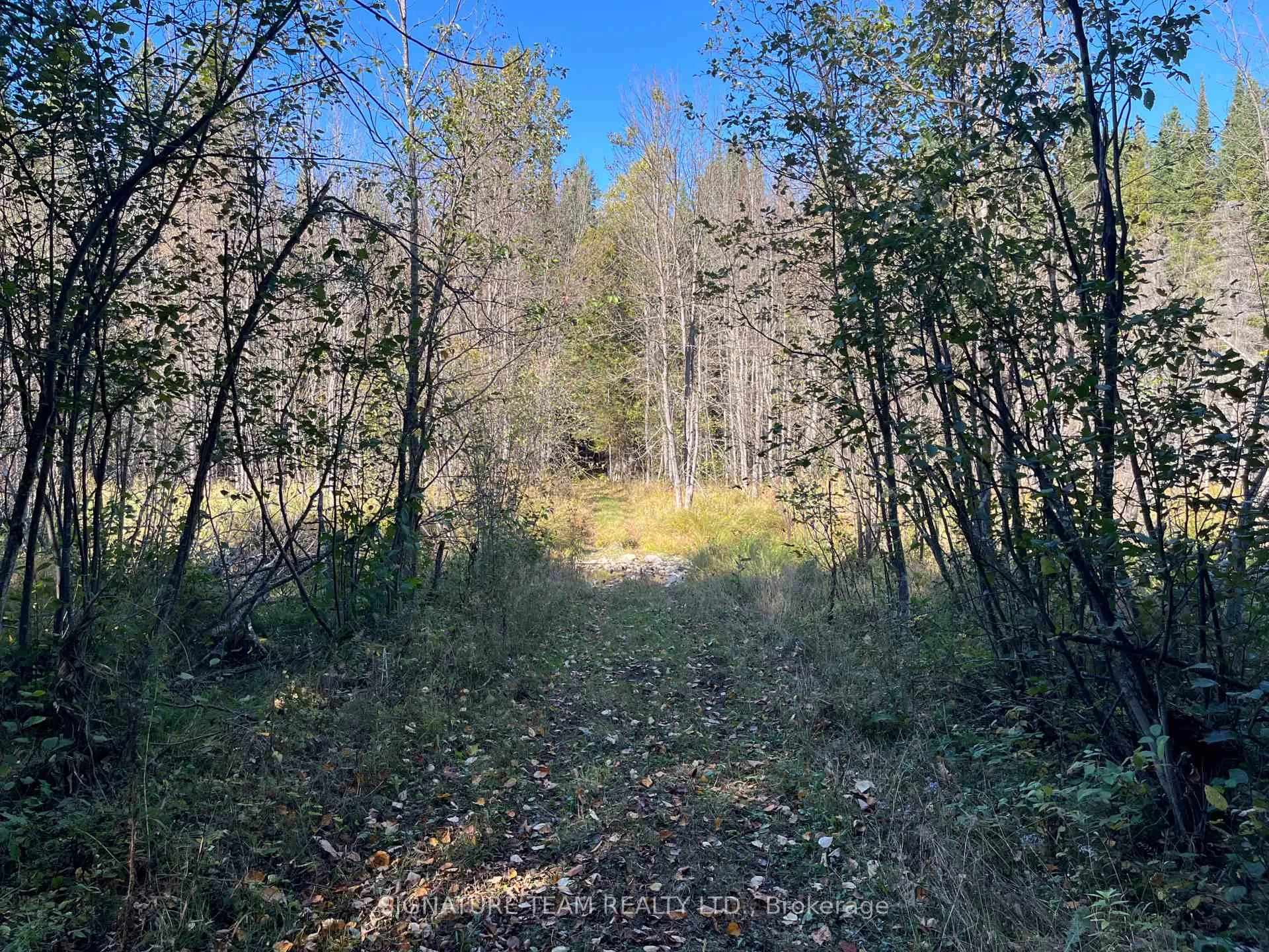 Photo 36 of Minnie Road, Bonnechere Valley, Eganville/Bonnechere Twp — HOMEH