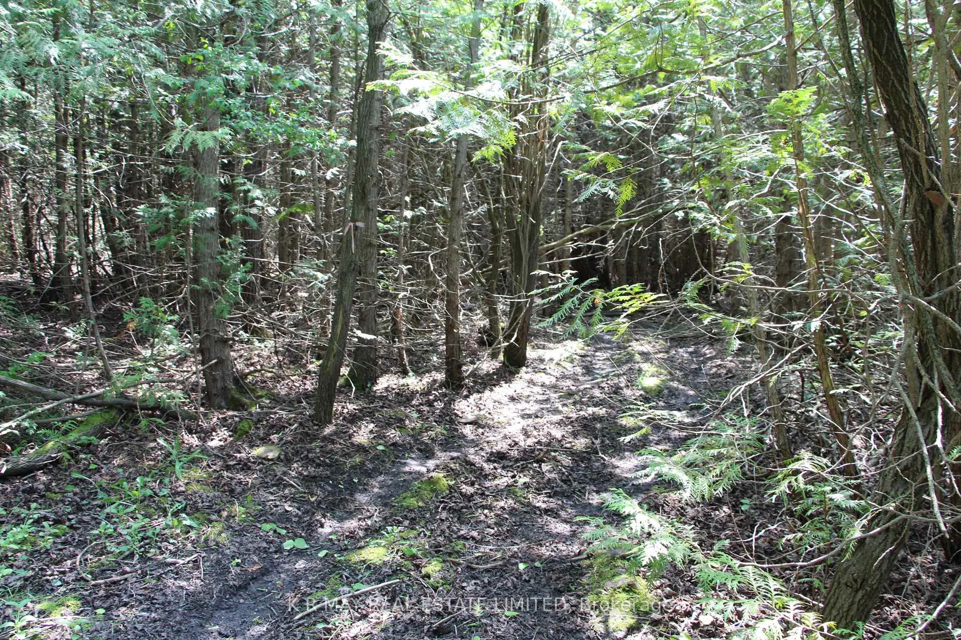 Photo 19 of 9680 Concession 4, Uxbridge, Rural Uxbridge — HOMEH