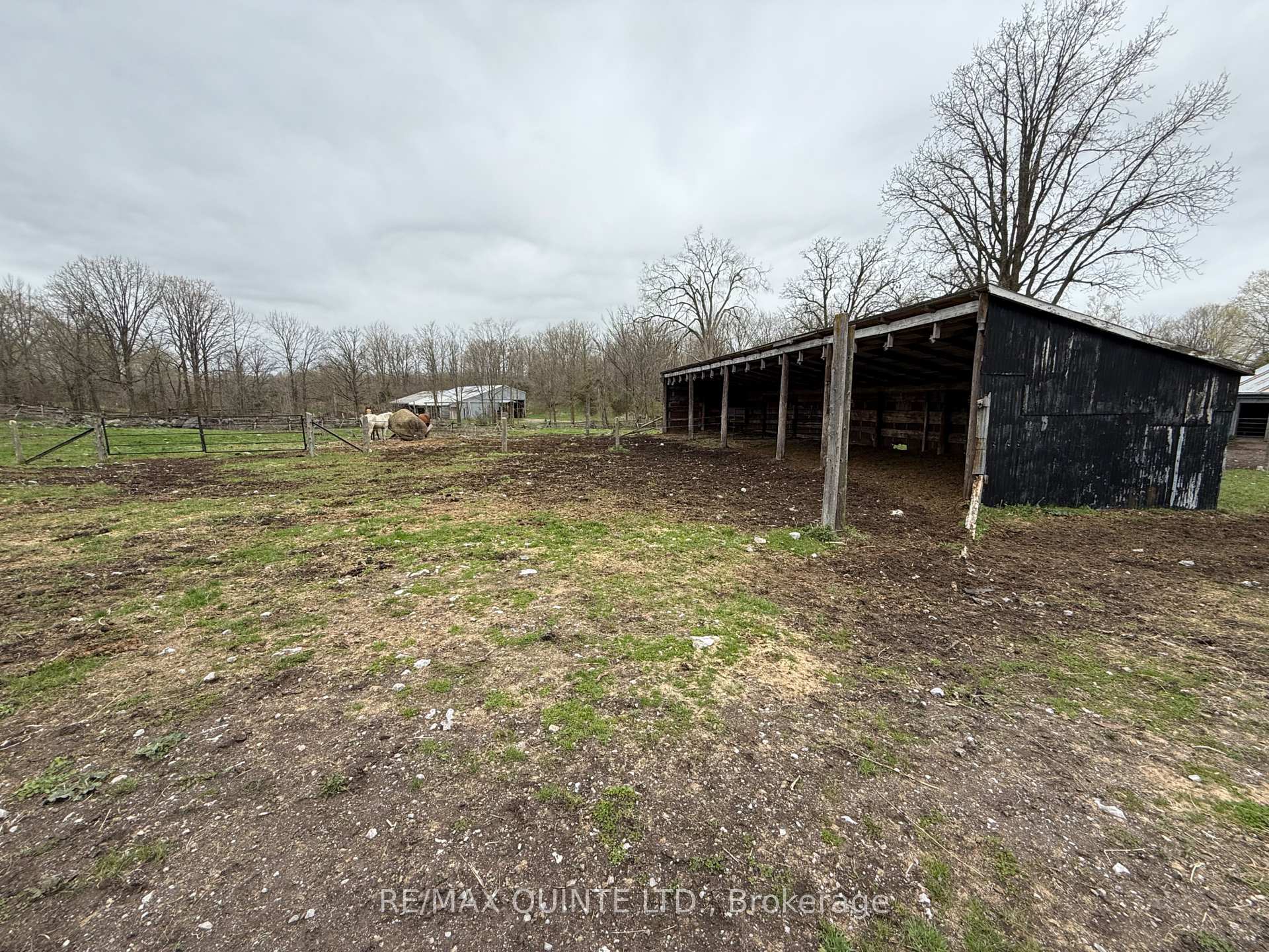 Photo 12 of 1116 Cross Road, Tyendinaga, Tyendinaga Township — HOMEH