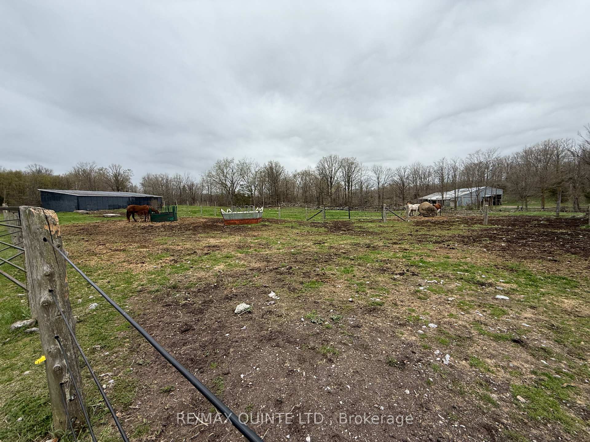 Photo 13 of 1116 Cross Road, Tyendinaga, Tyendinaga Township — HOMEH
