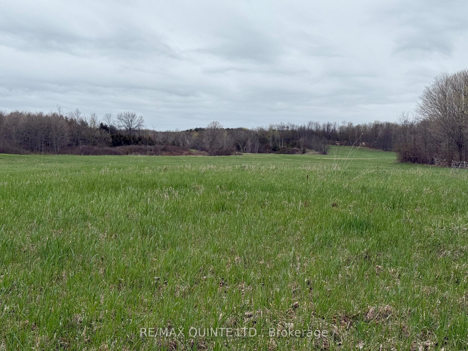 Photo 21 of 1116 Cross Road, Tyendinaga, Tyendinaga Township — HOMEH