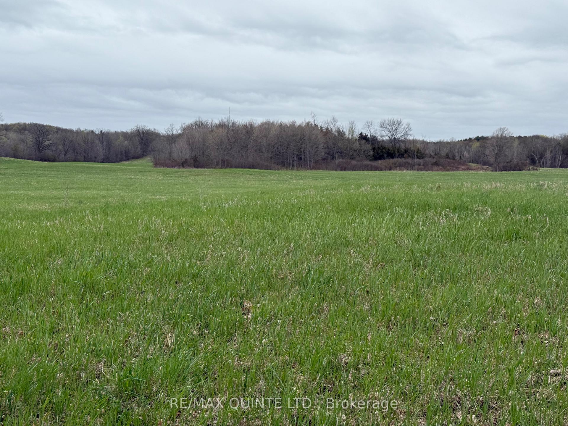 Photo 22 of 1116 Cross Road, Tyendinaga, Tyendinaga Township — HOMEH