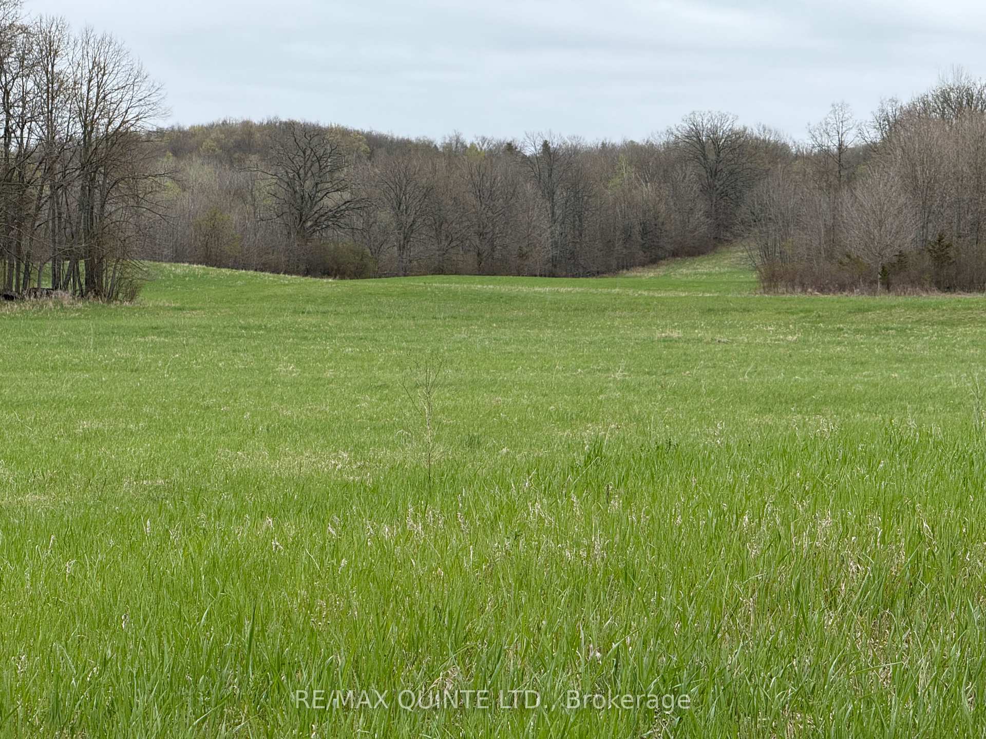 Photo 24 of 1116 Cross Road, Tyendinaga, Tyendinaga Township — HOMEH
