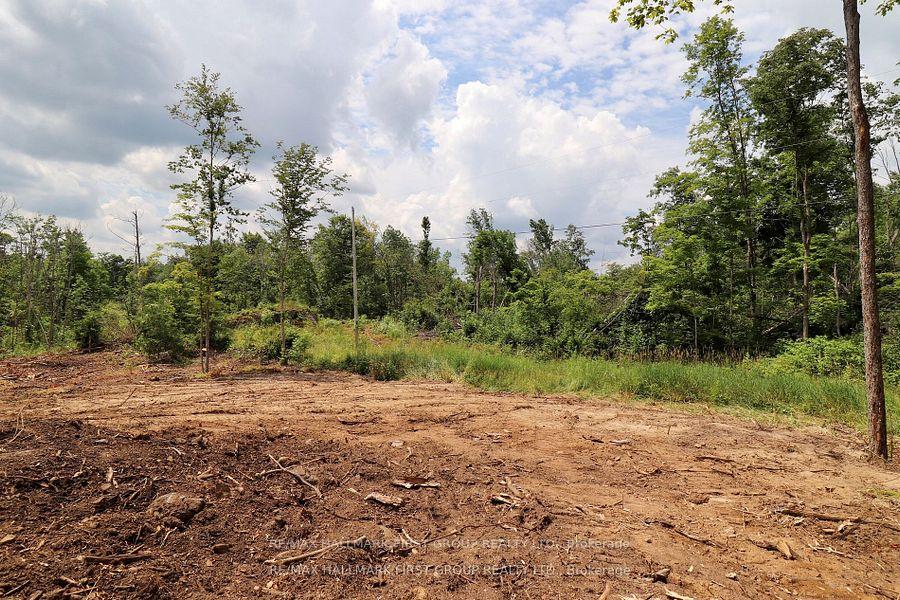 Photo 1 of Black River Road N, Tweed, Elzevir (Twp) — HOMEH