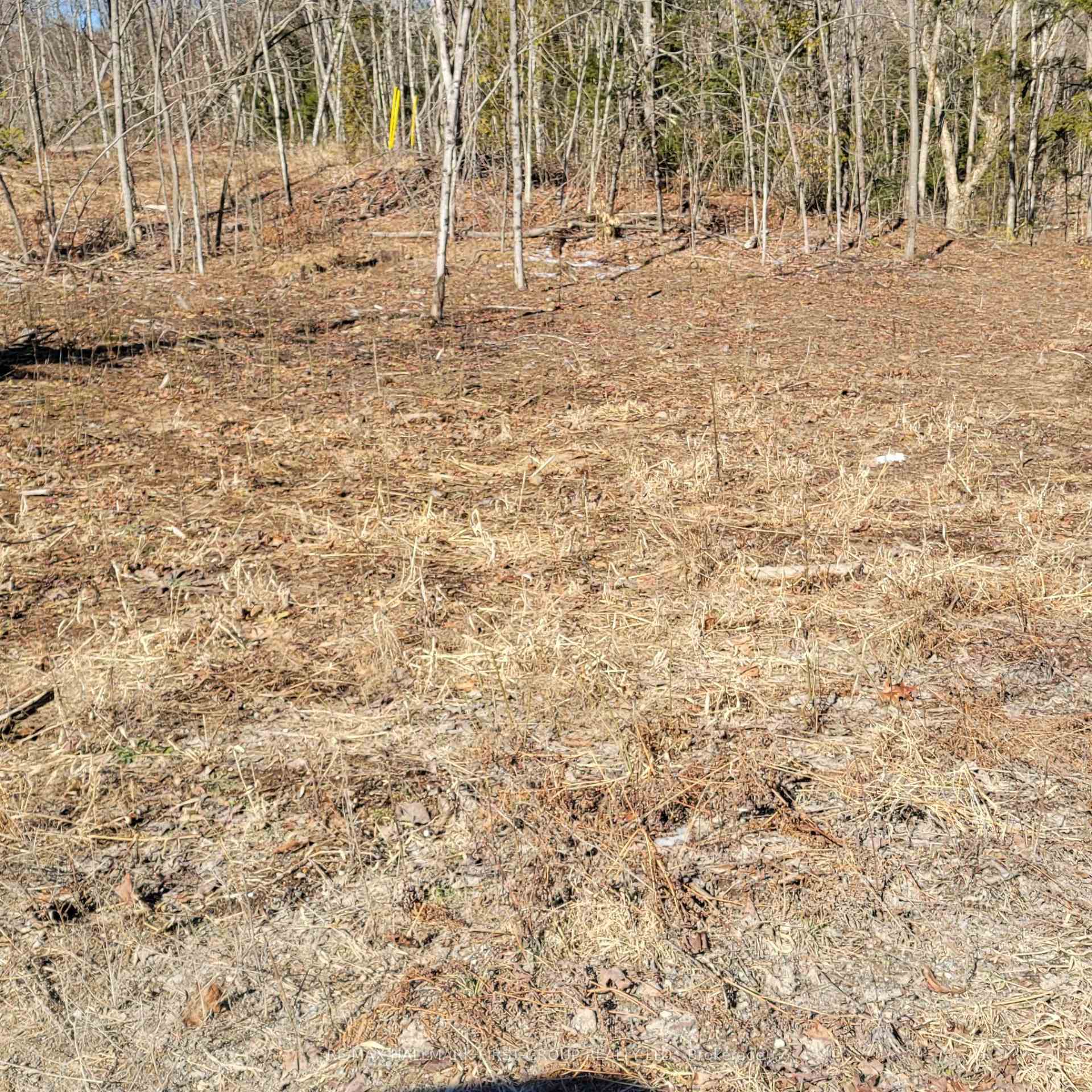 Photo 2 of Black River Road N, Tweed, Elzevir (Twp) — HOMEH