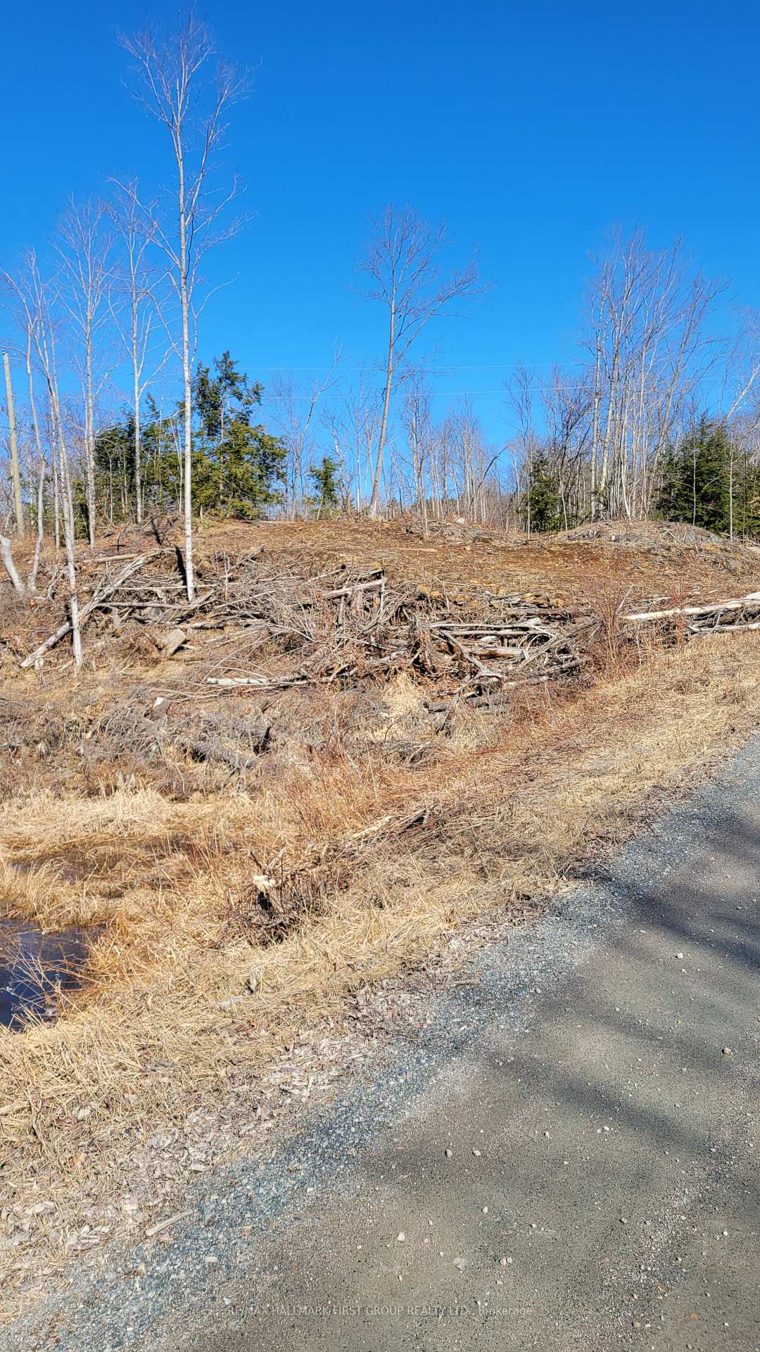 Photo 3 of Black River Road N, Tweed, Elzevir (Twp) — HOMEH