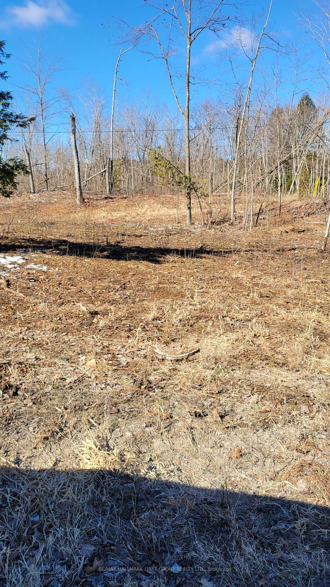 Photo 5 of Black River Road N, Tweed, Elzevir (Twp) — HOMEH