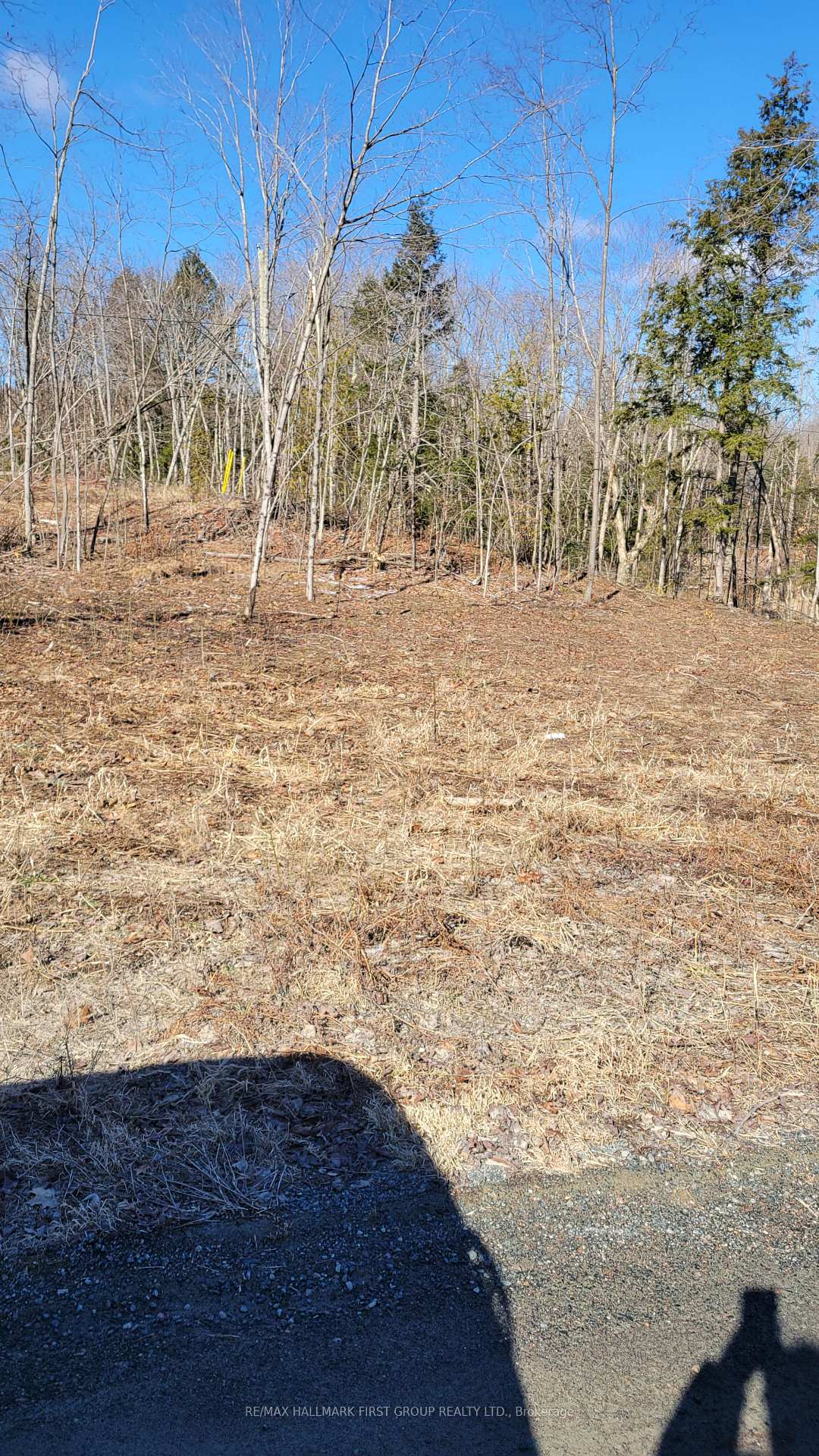 Photo 7 of Black River Road N, Tweed, Elzevir (Twp) — HOMEH