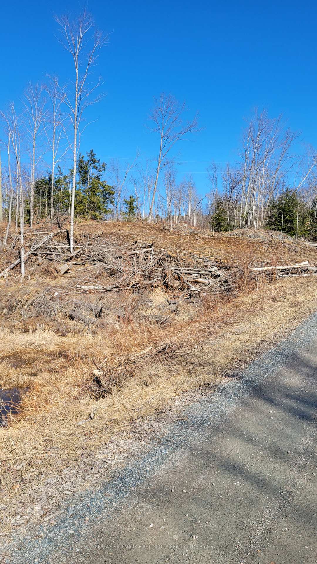 Photo 8 of Black River Road N, Tweed, Elzevir (Twp) — HOMEH