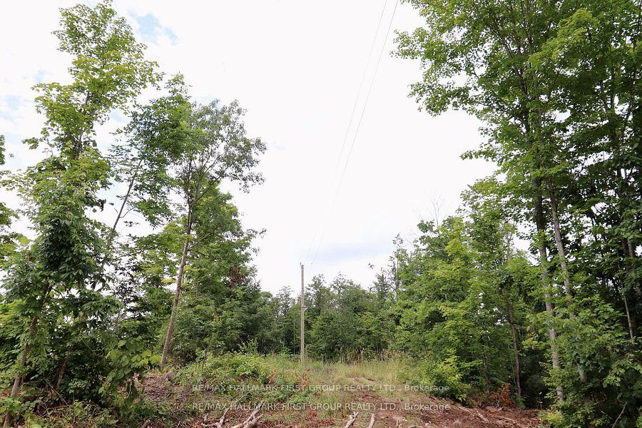Photo 9 of Black River Road N, Tweed, Elzevir (Twp) — HOMEH
