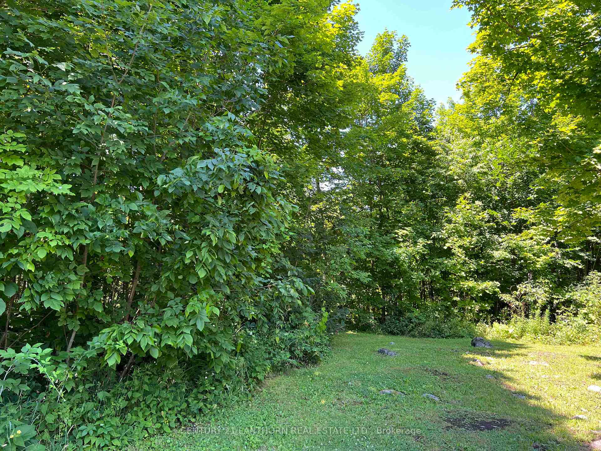Photo 2 of Luffman Road, Tweed, Hungerford (Twp) — HOMEH