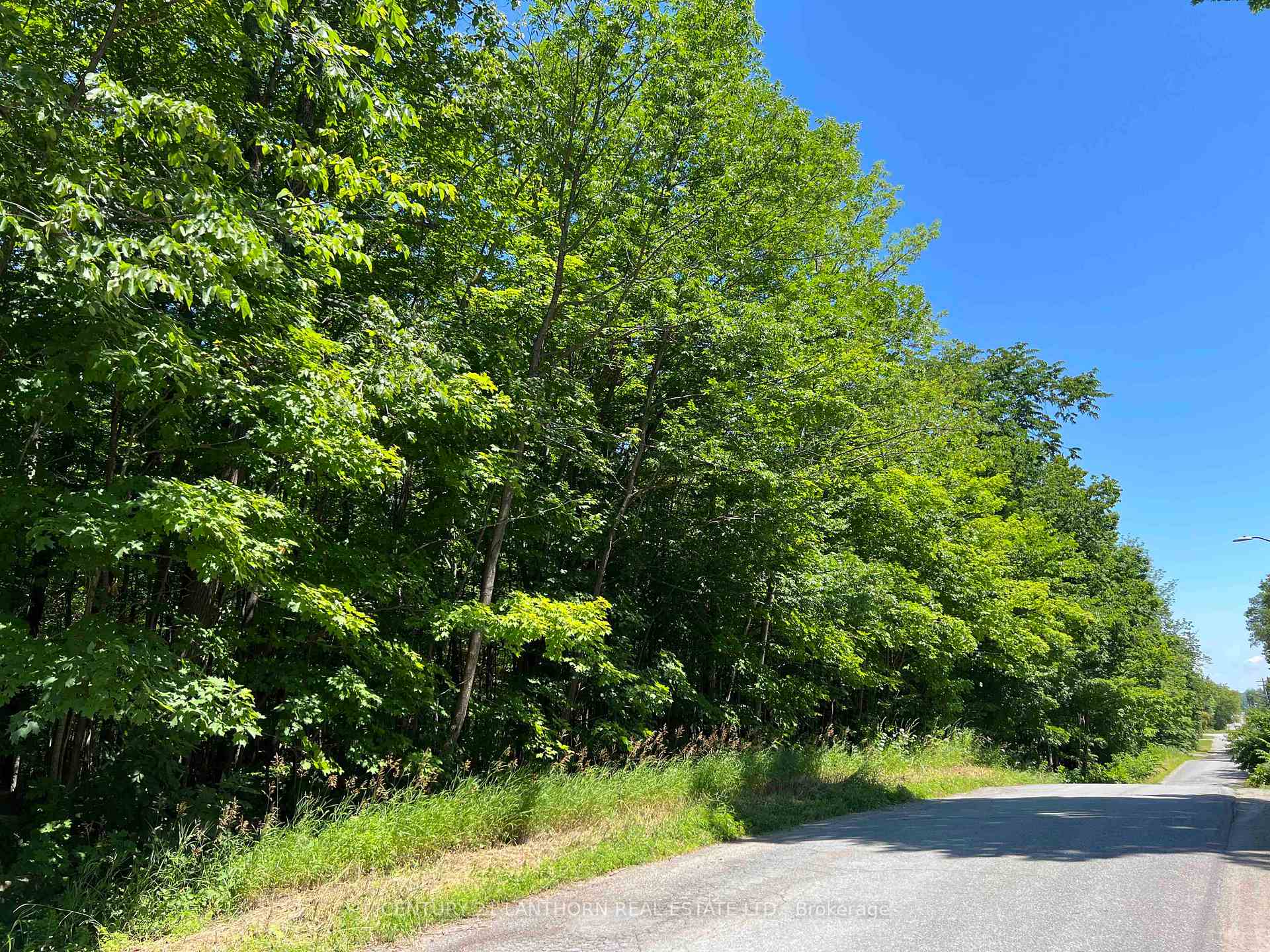 Photo 5 of Luffman Road, Tweed, Hungerford (Twp) — HOMEH