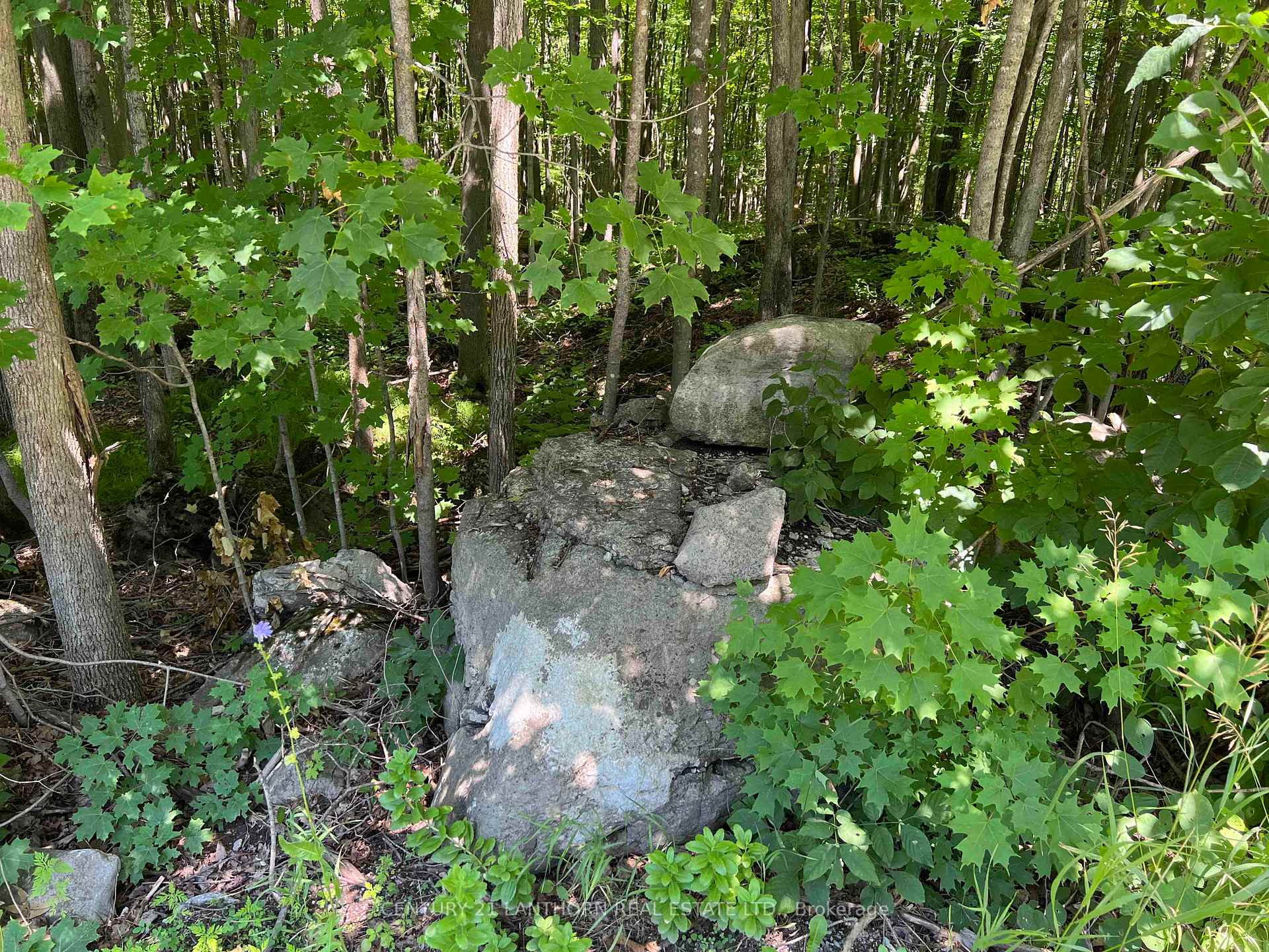 Photo 6 of Luffman Road, Tweed, Hungerford (Twp) — HOMEH
