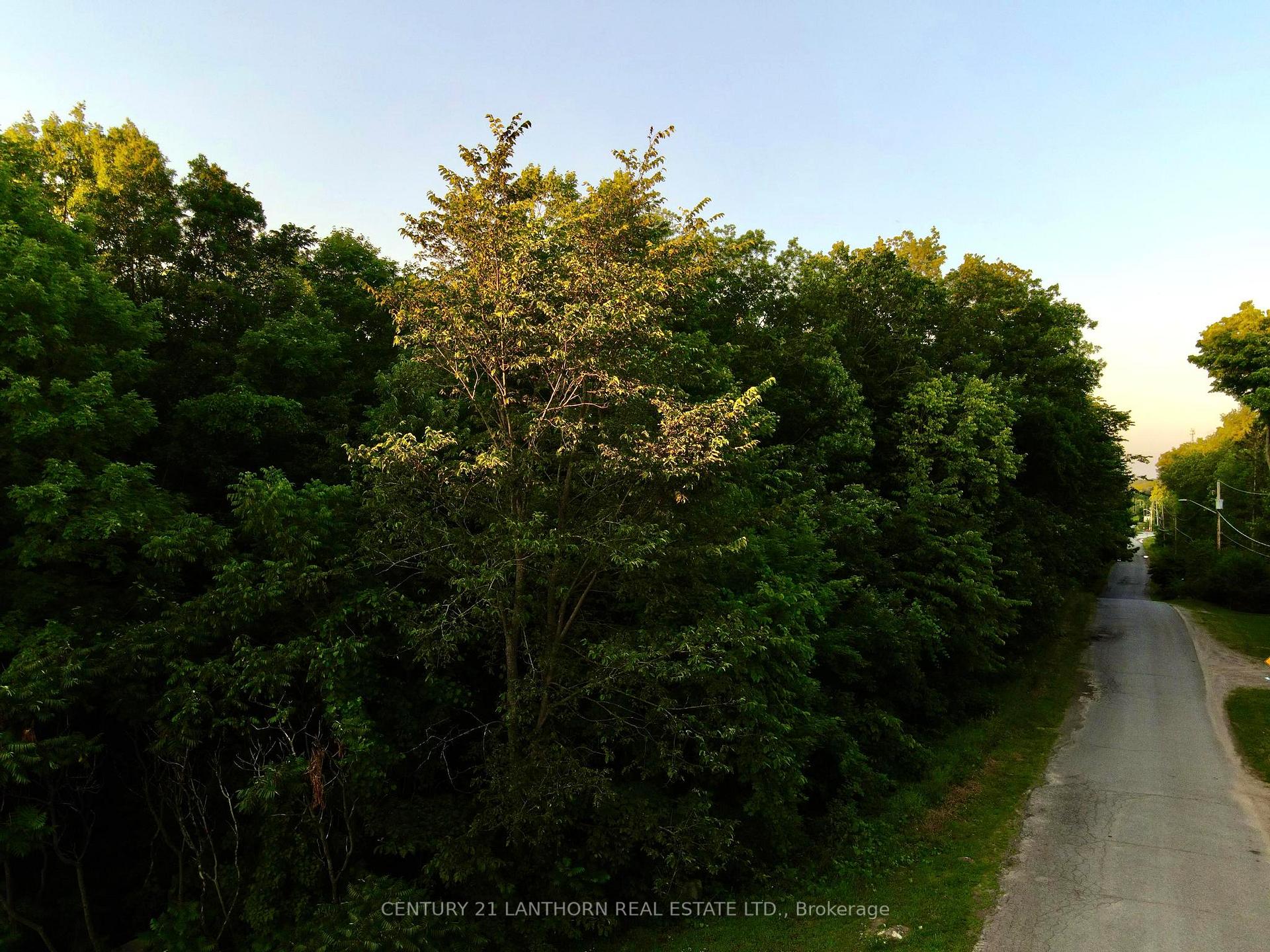 Photo 8 of Luffman Road, Tweed, Hungerford (Twp) — HOMEH