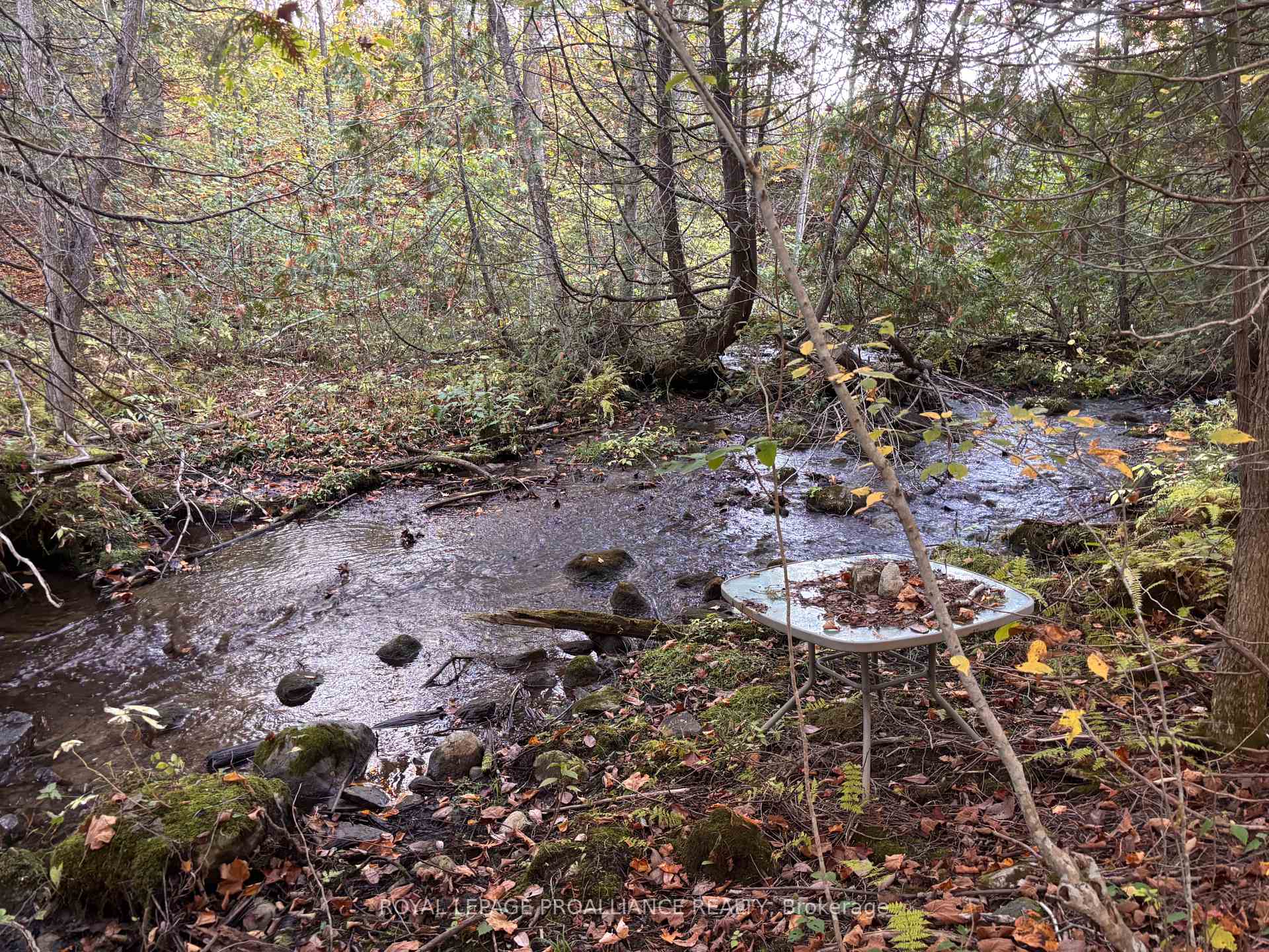 Photo 2 of PTLT29- Naphan Road, Tyendinaga, Tyendinaga Township — HOMEH
