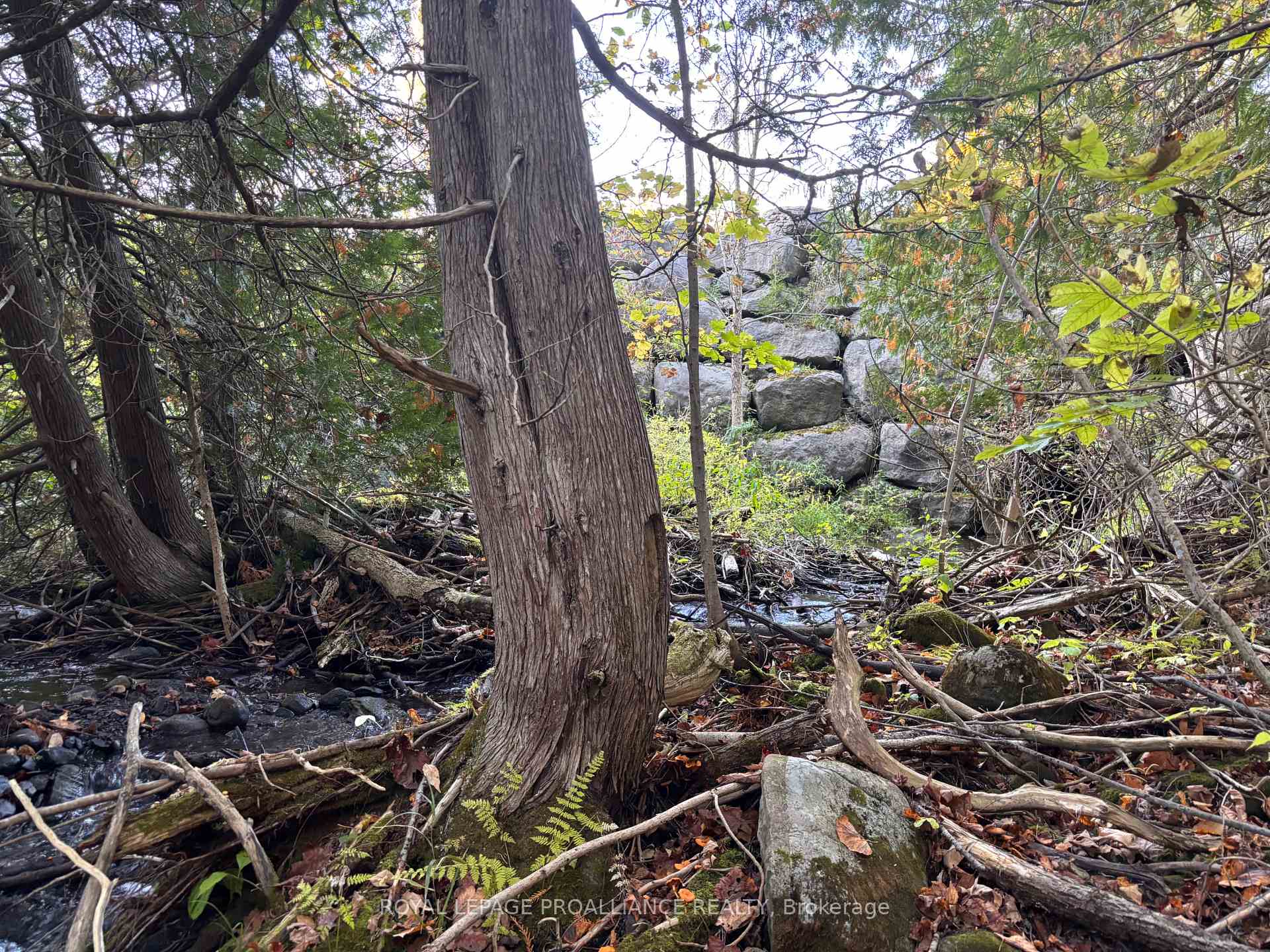 Photo 5 of PTLT29- Naphan Road, Tyendinaga, Tyendinaga Township — HOMEH
