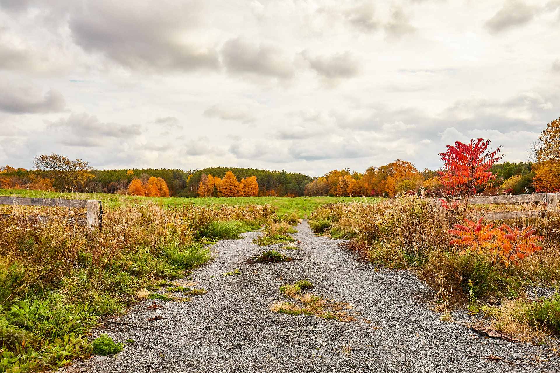 Photo 9 of 337 Regional Road 8, Uxbridge — HOMEH